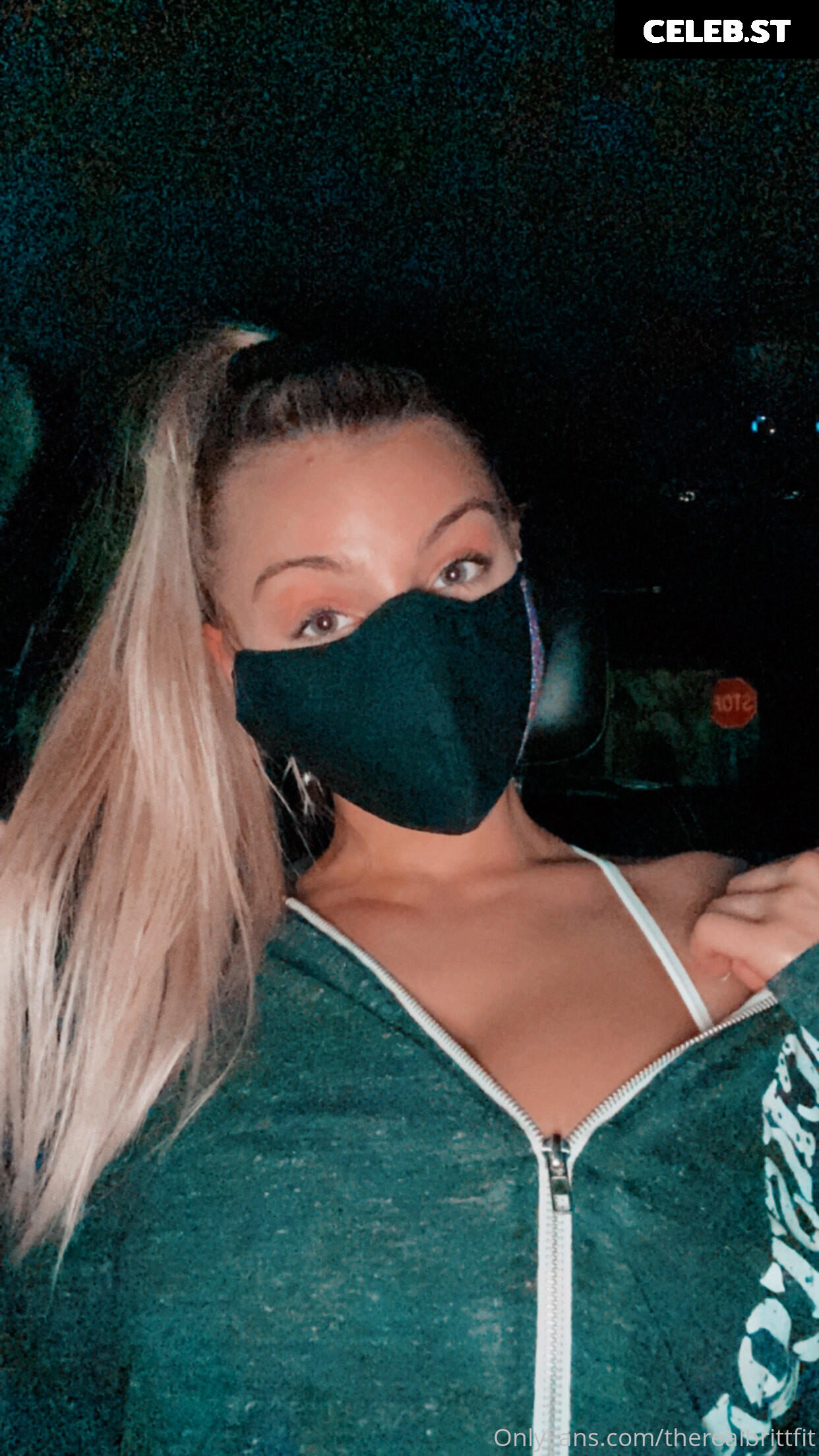 therealbrittfit Image 2509316