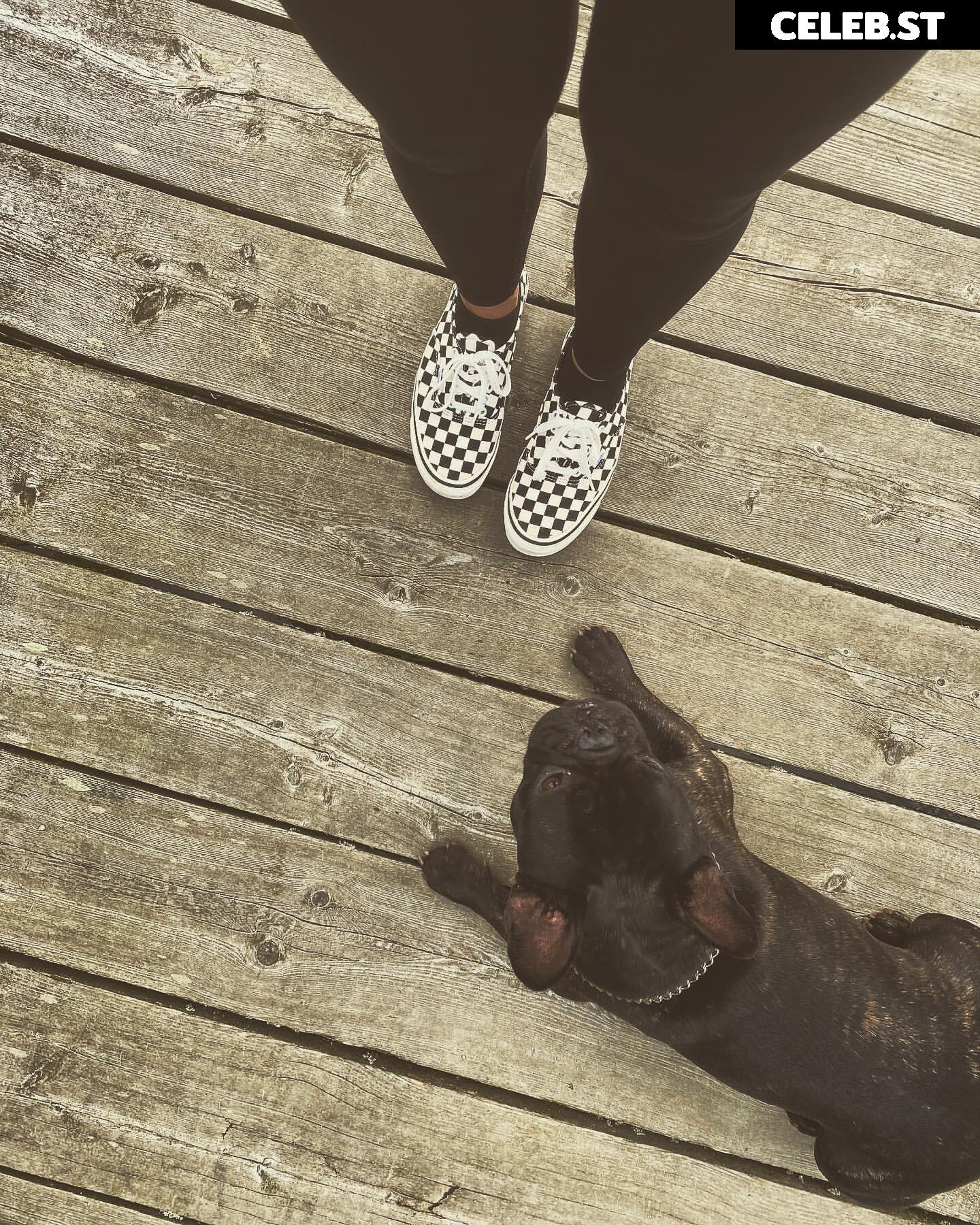 Mimixx Image 2696961