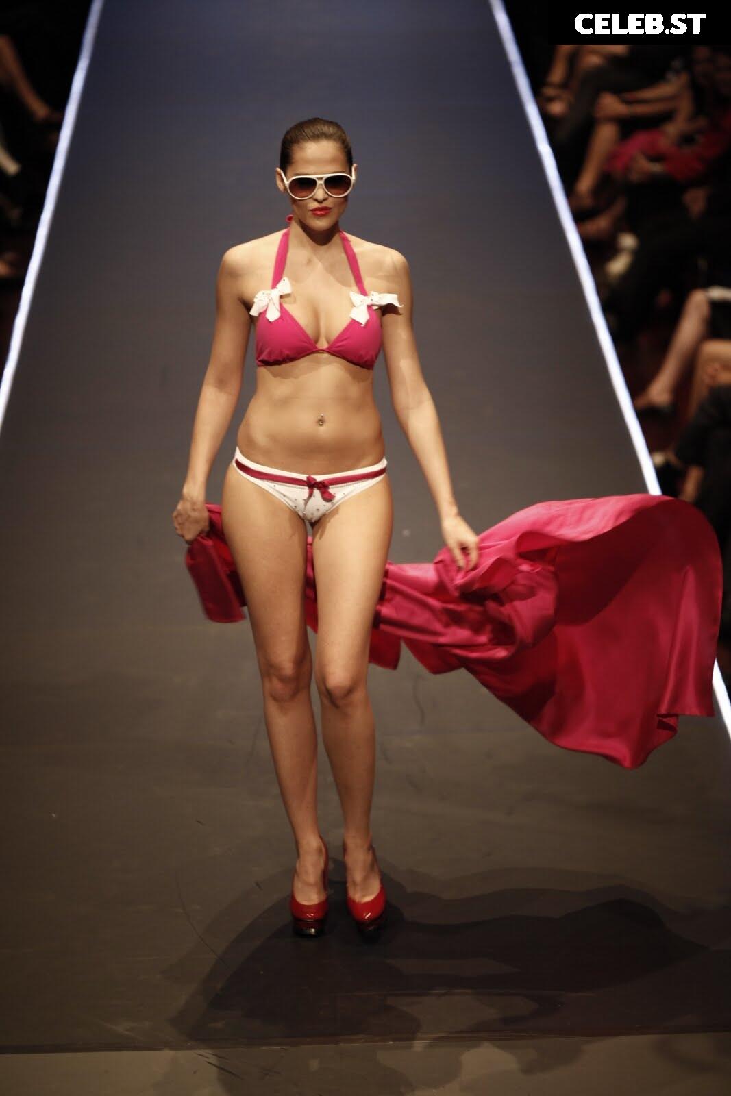 Hana Nitsche Image 2687069