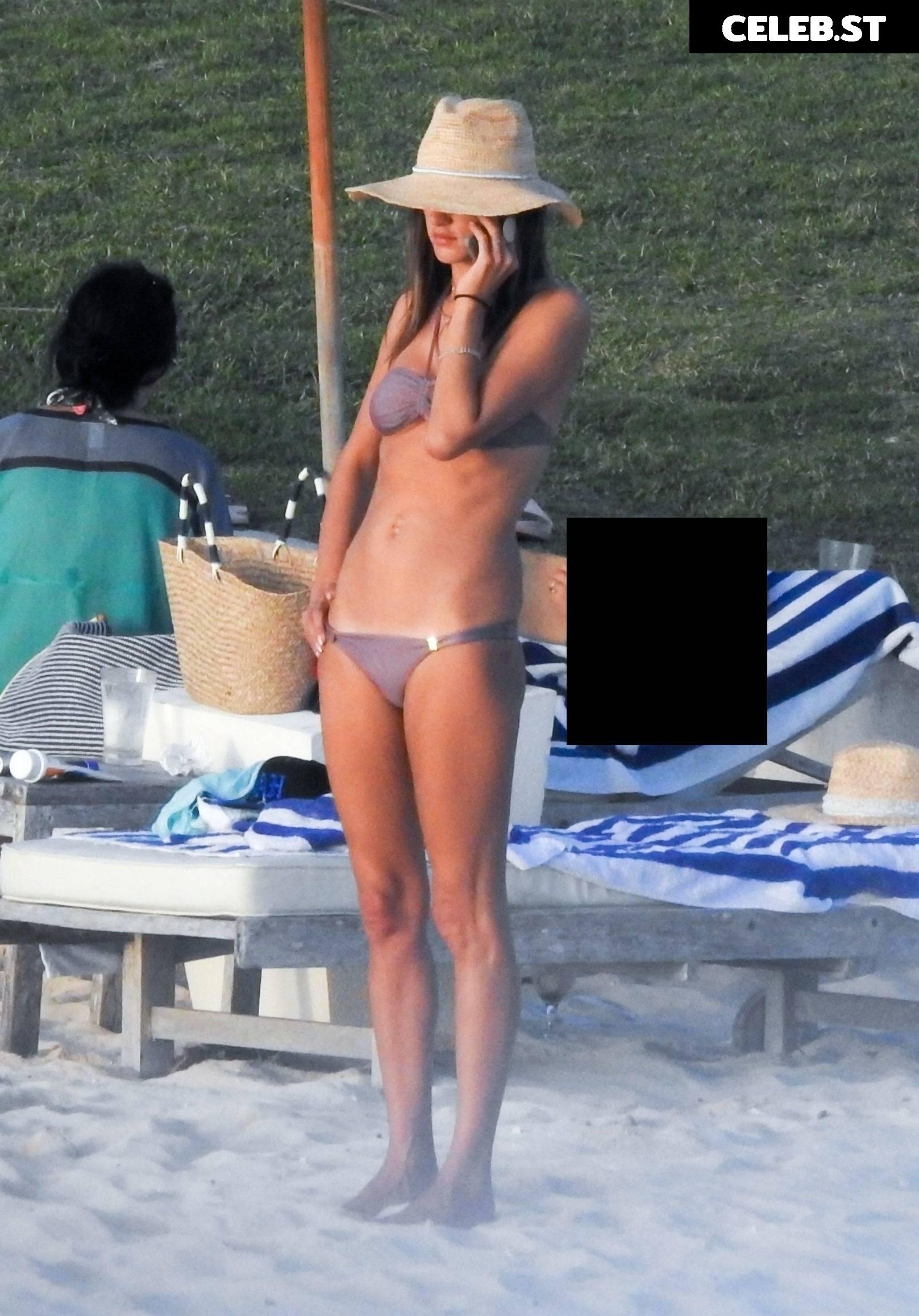 Alessandra Ambrosio Image 2687319
