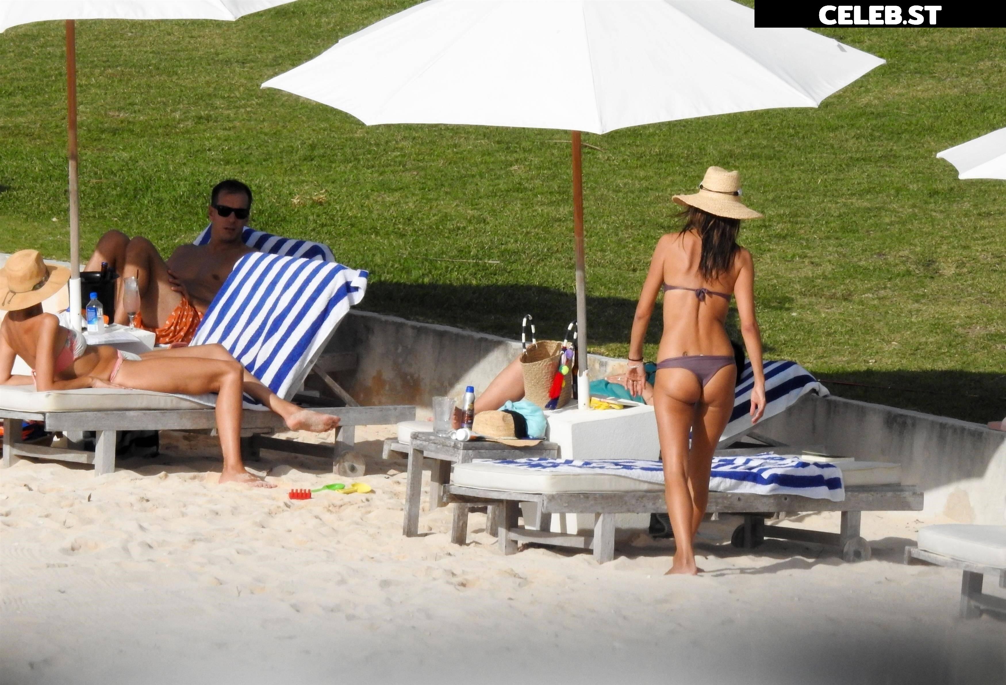 Alessandra Ambrosio Image 2687331