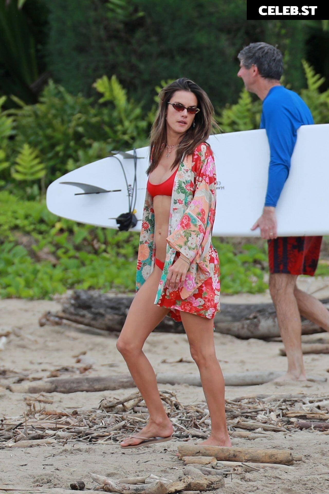 Alessandra Ambrosio Image 2687280