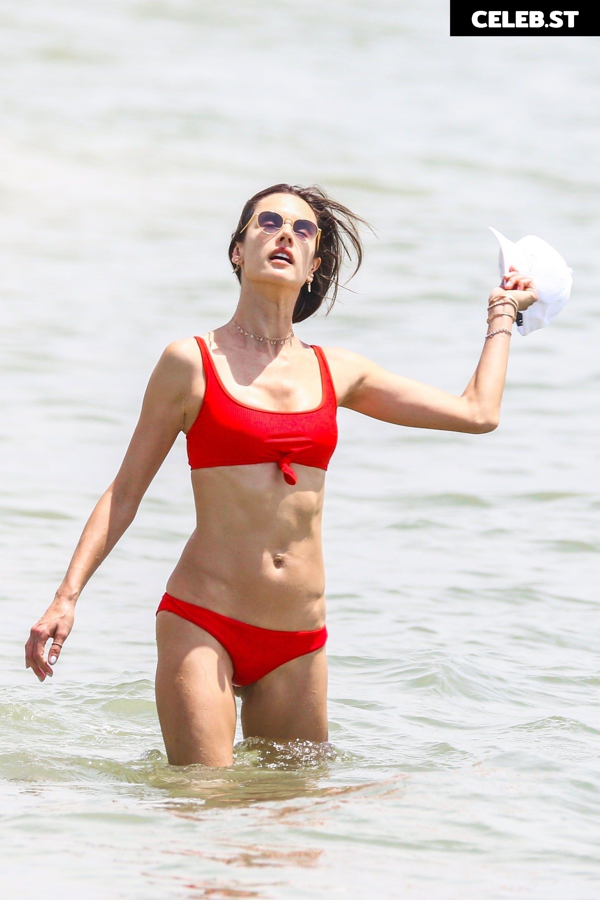 Alessandra Ambrosio Image 2687229