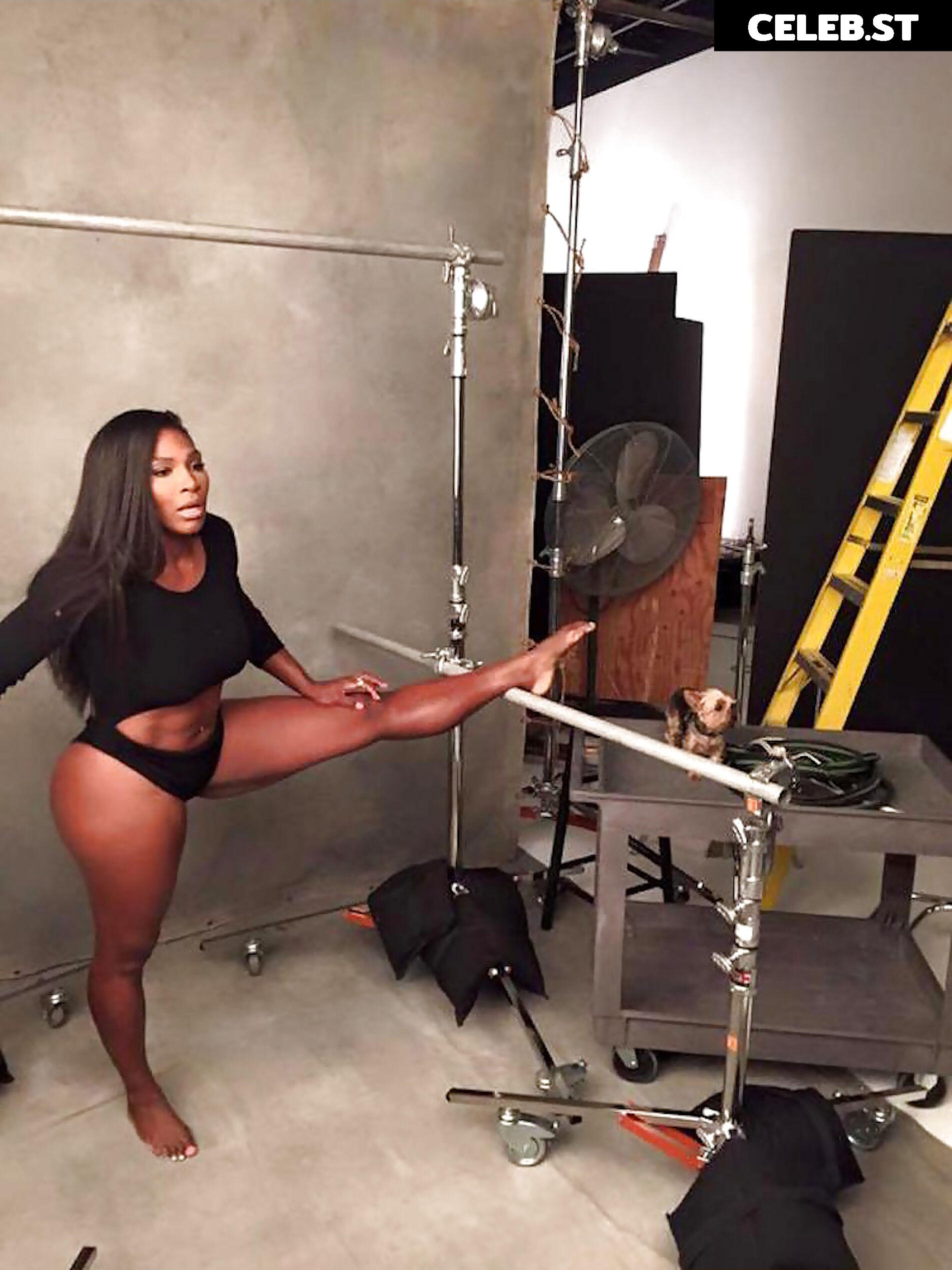 Serena Williams Image 2681845