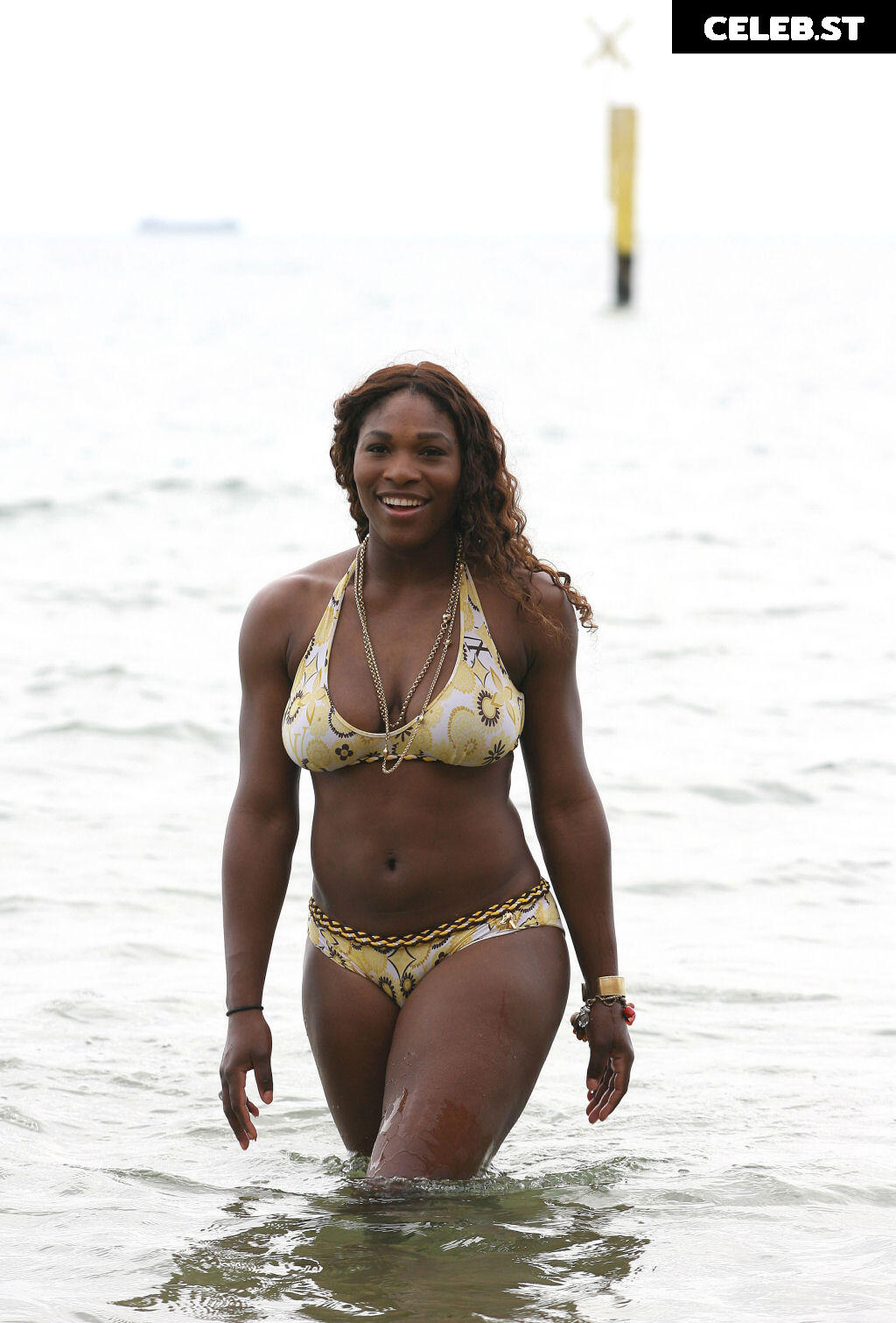 Serena Williams Image 2681832
