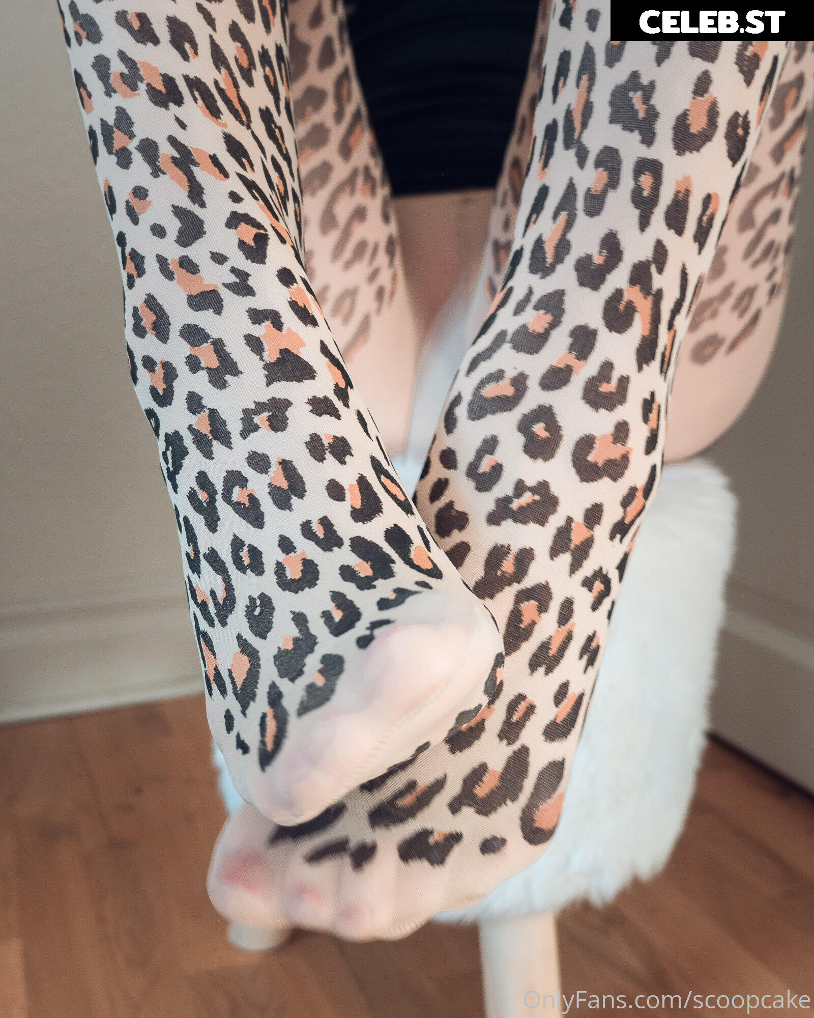 Scoopcake Image 268320