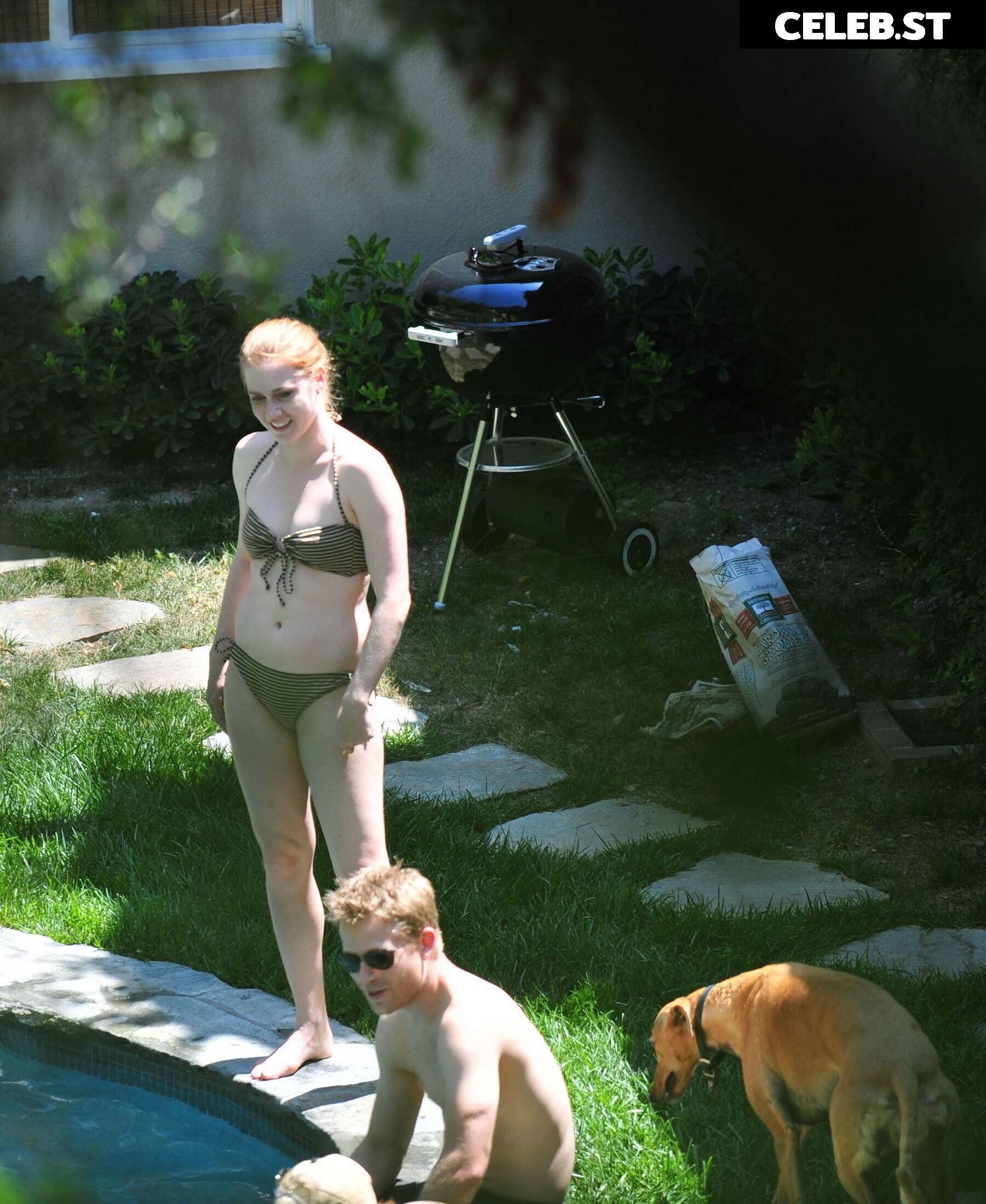 Amy Adams Image 2689189