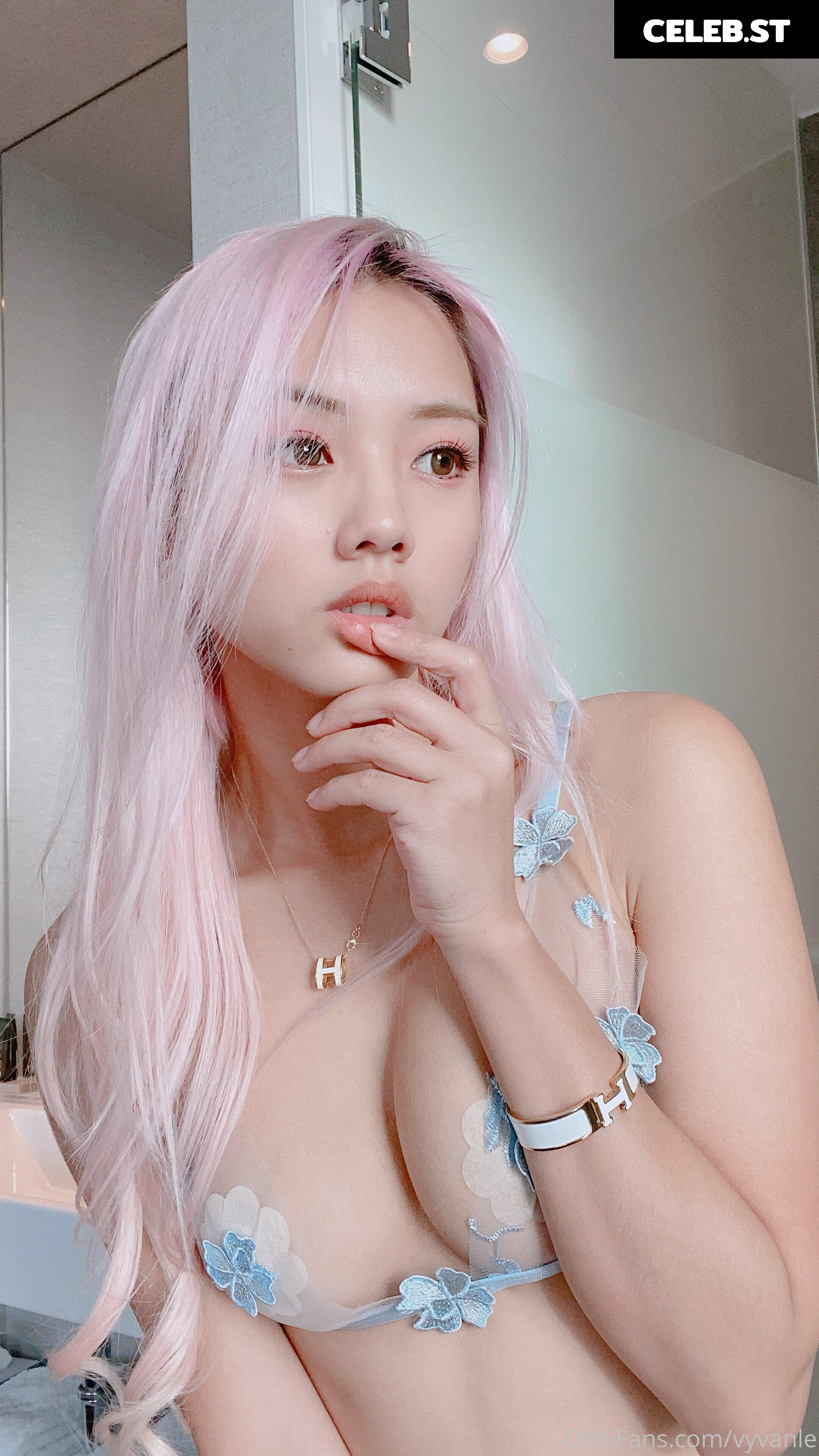 vyvanle Image 2675971