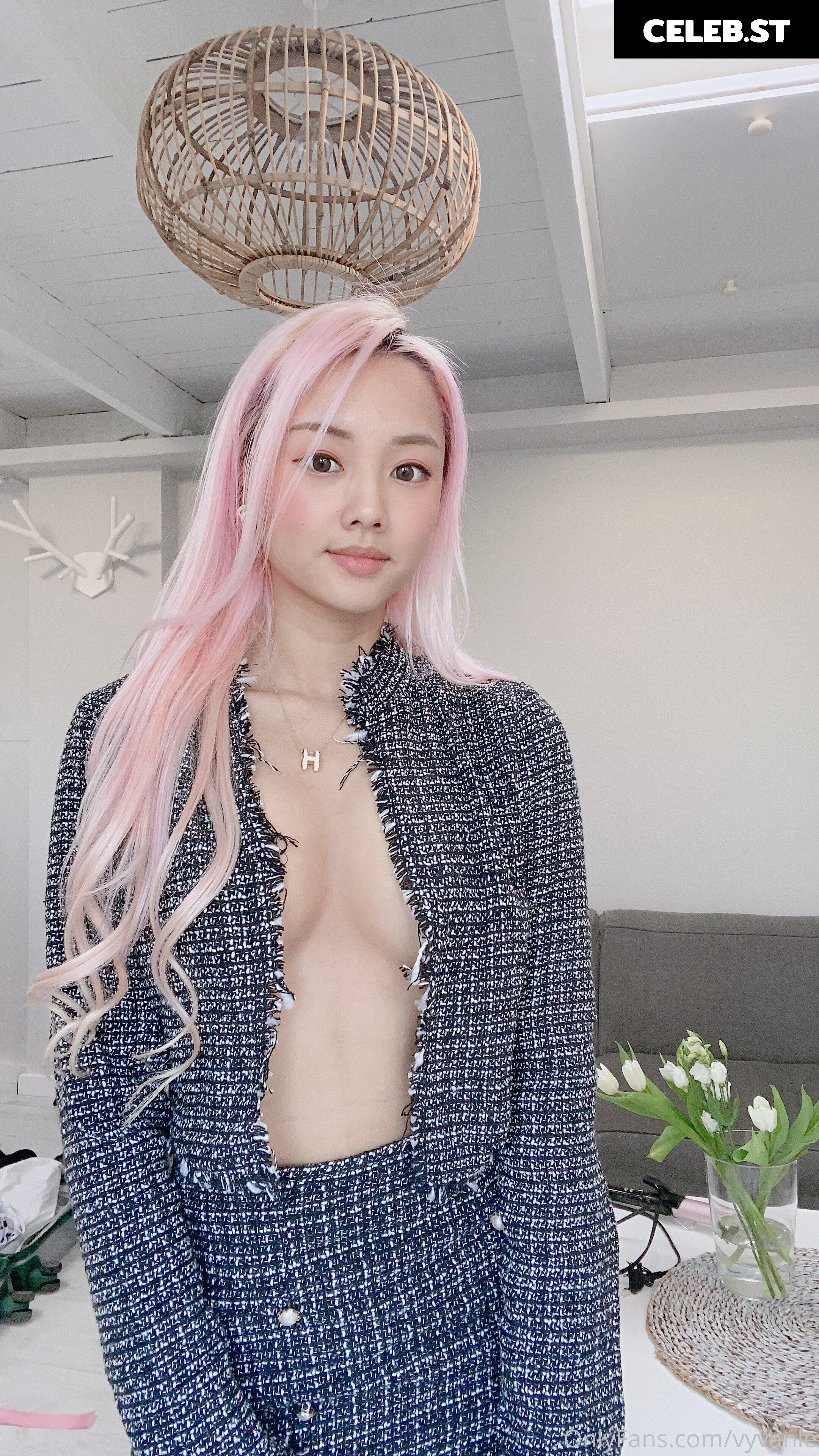 vyvanle Image 2675936