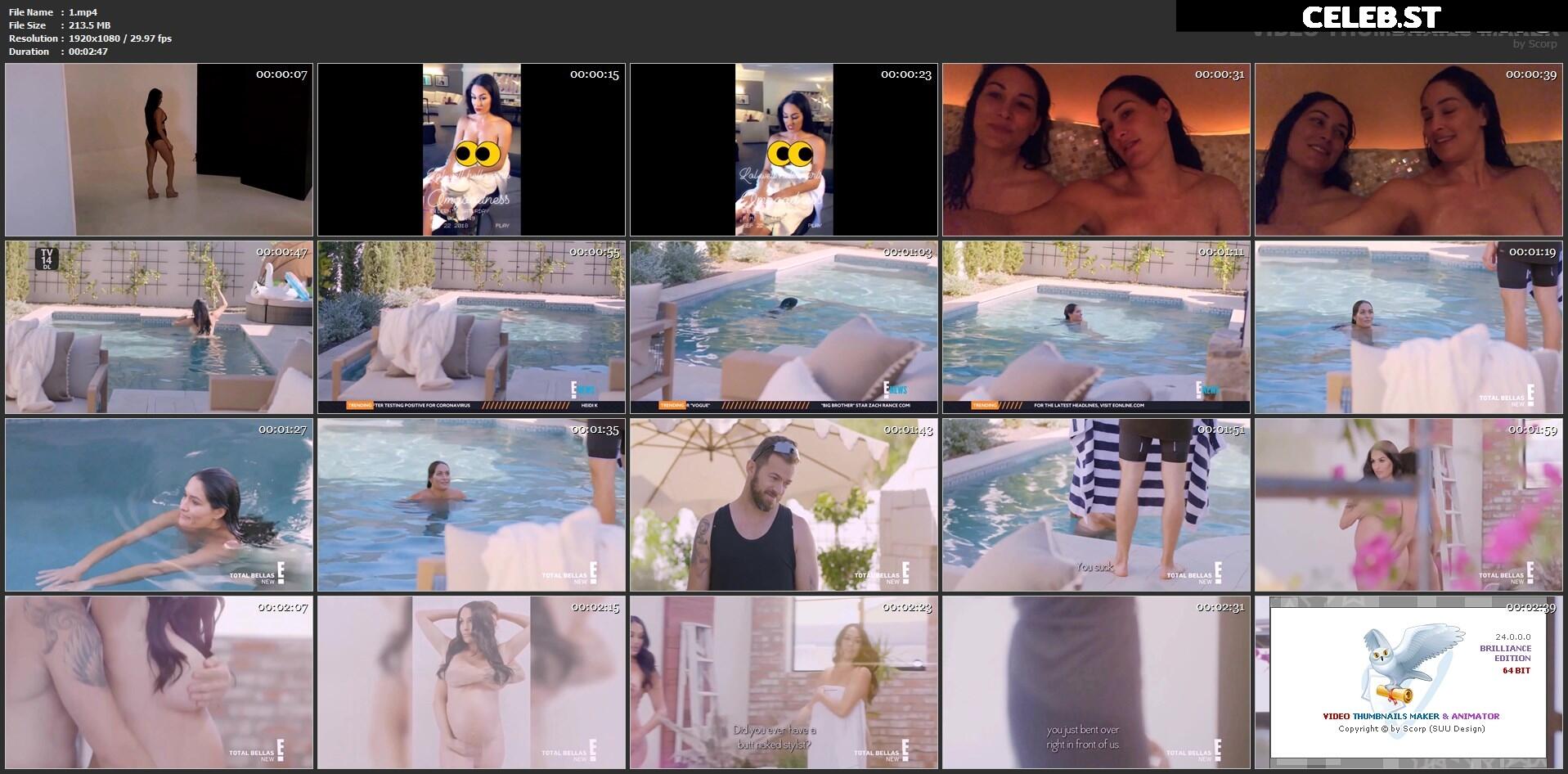 Nikki Bella Image 2665030