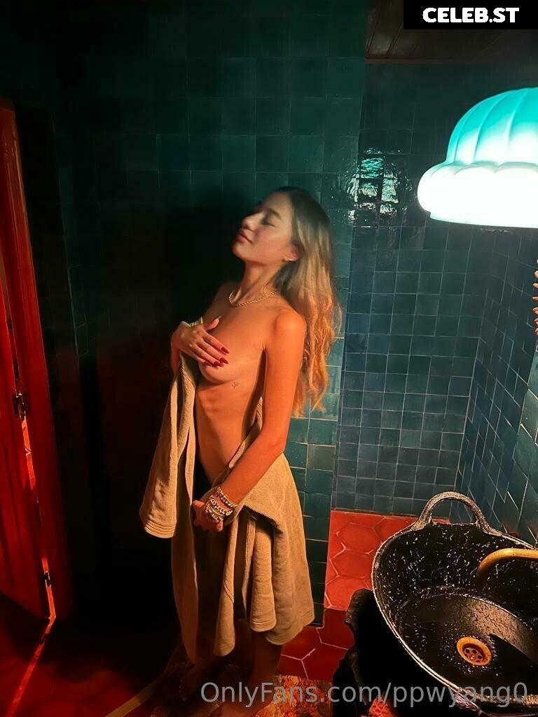 ppwyang Image 2654589