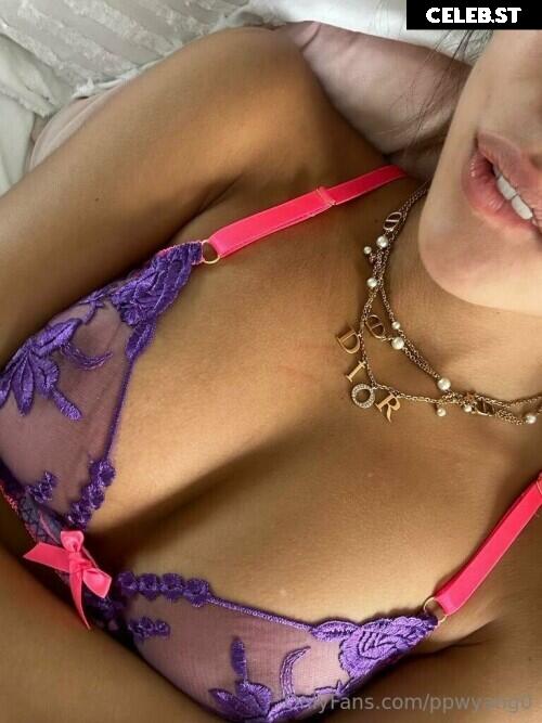 ppwyang Image 2654724