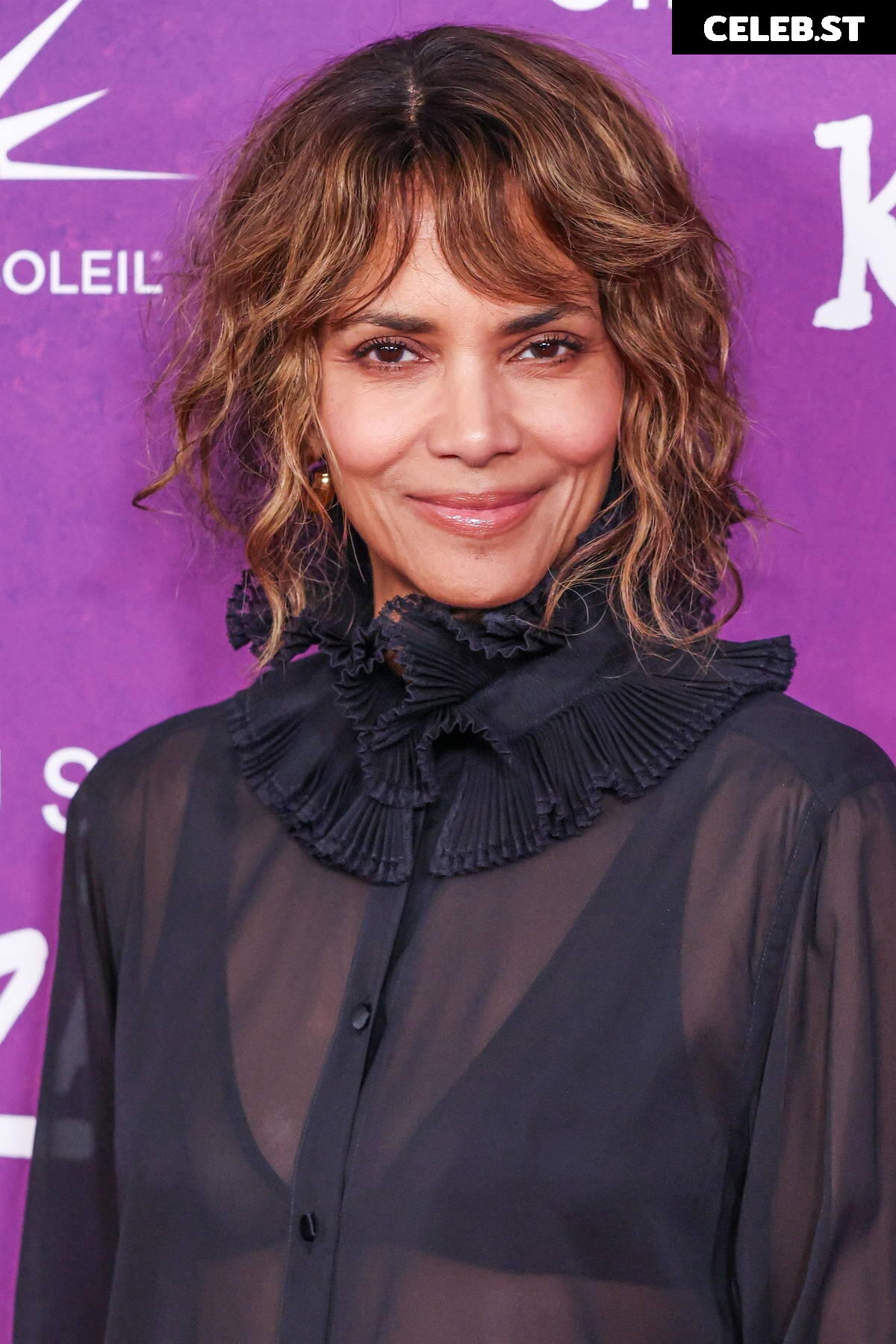 Halle Berry Image 26511520