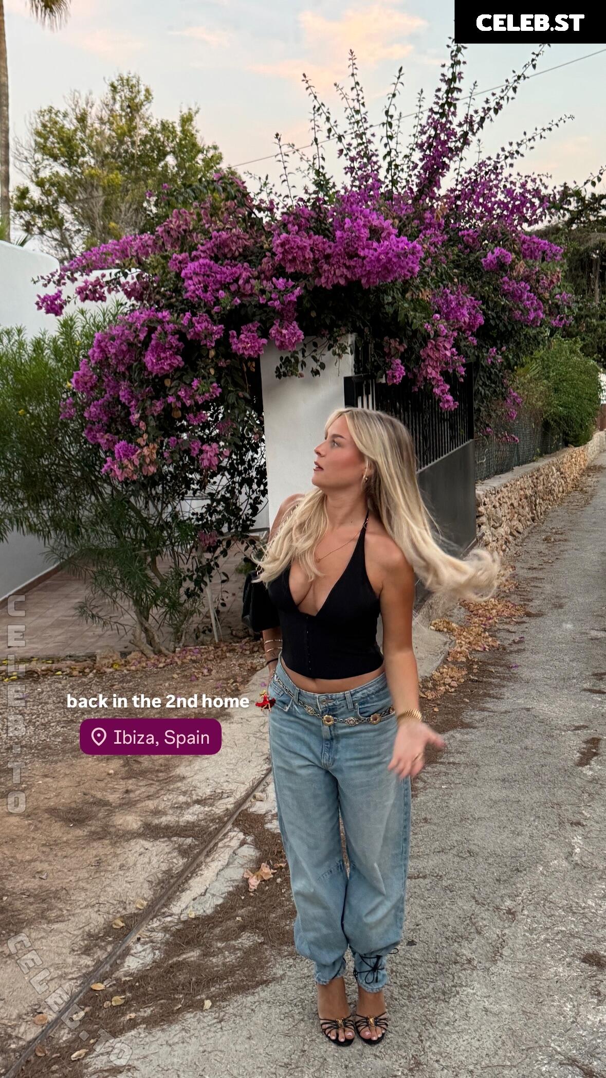 Dagi Bee Image 26528833