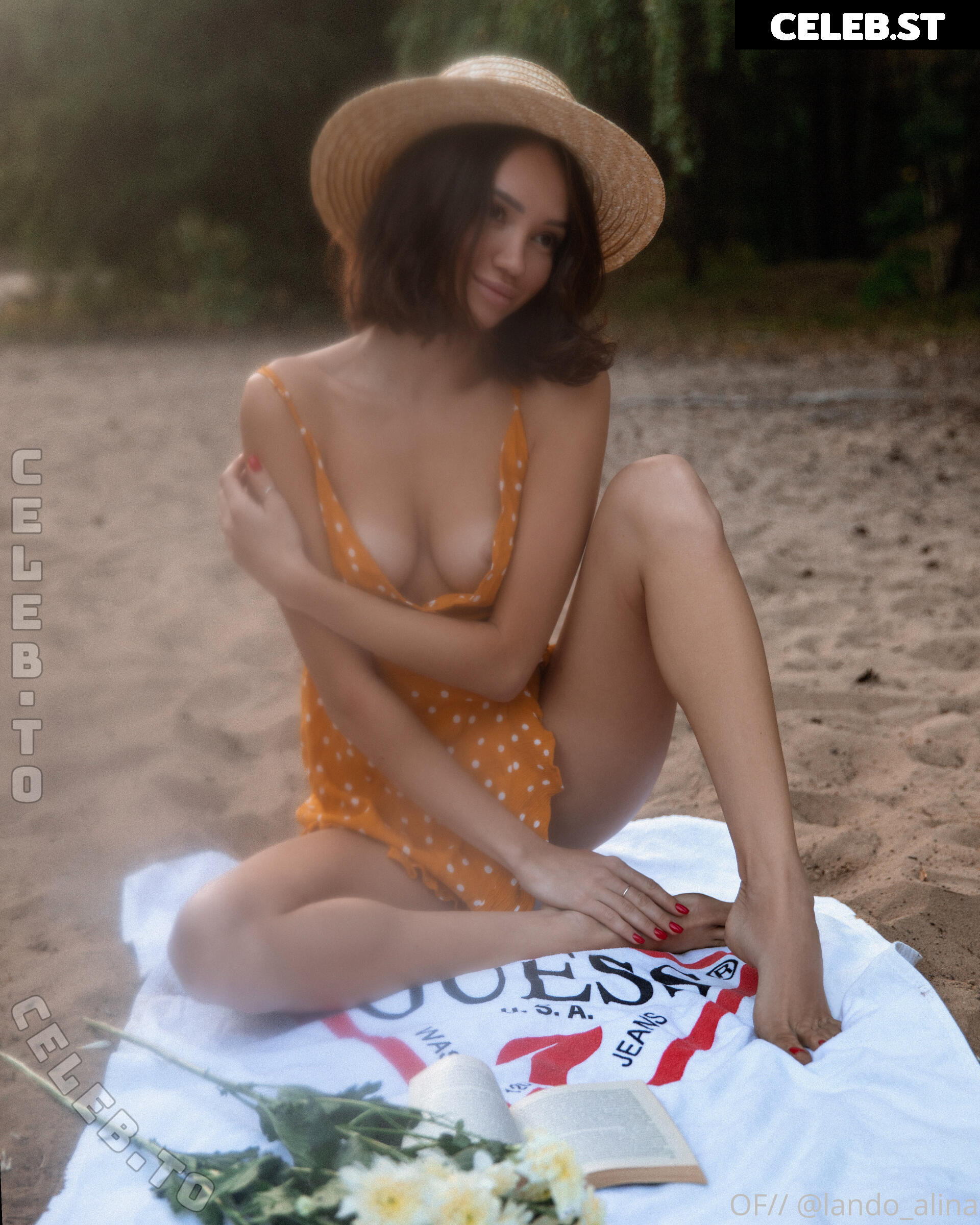 Alina Lando Image 26529820