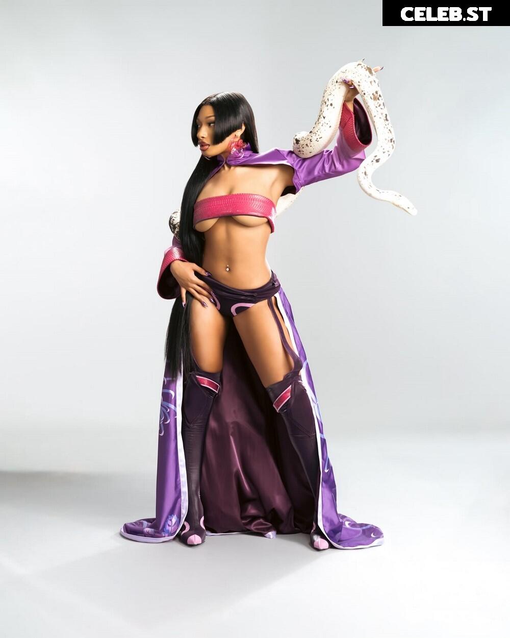 Megan thee stallion Image 26504499