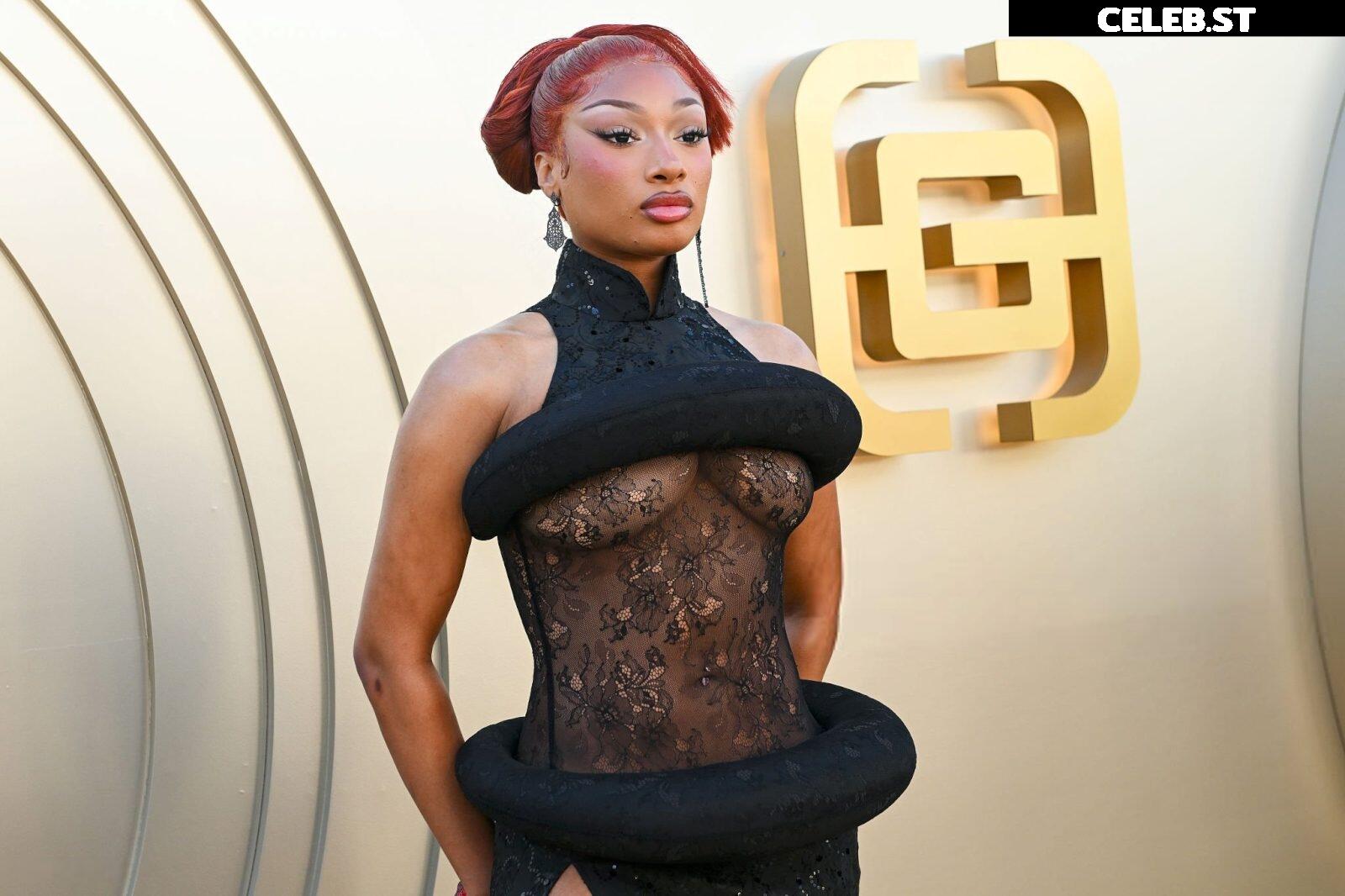 Megan thee stallion Image 26459102