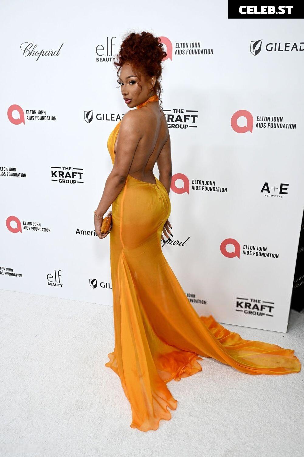 Megan thee stallion Image 26407554