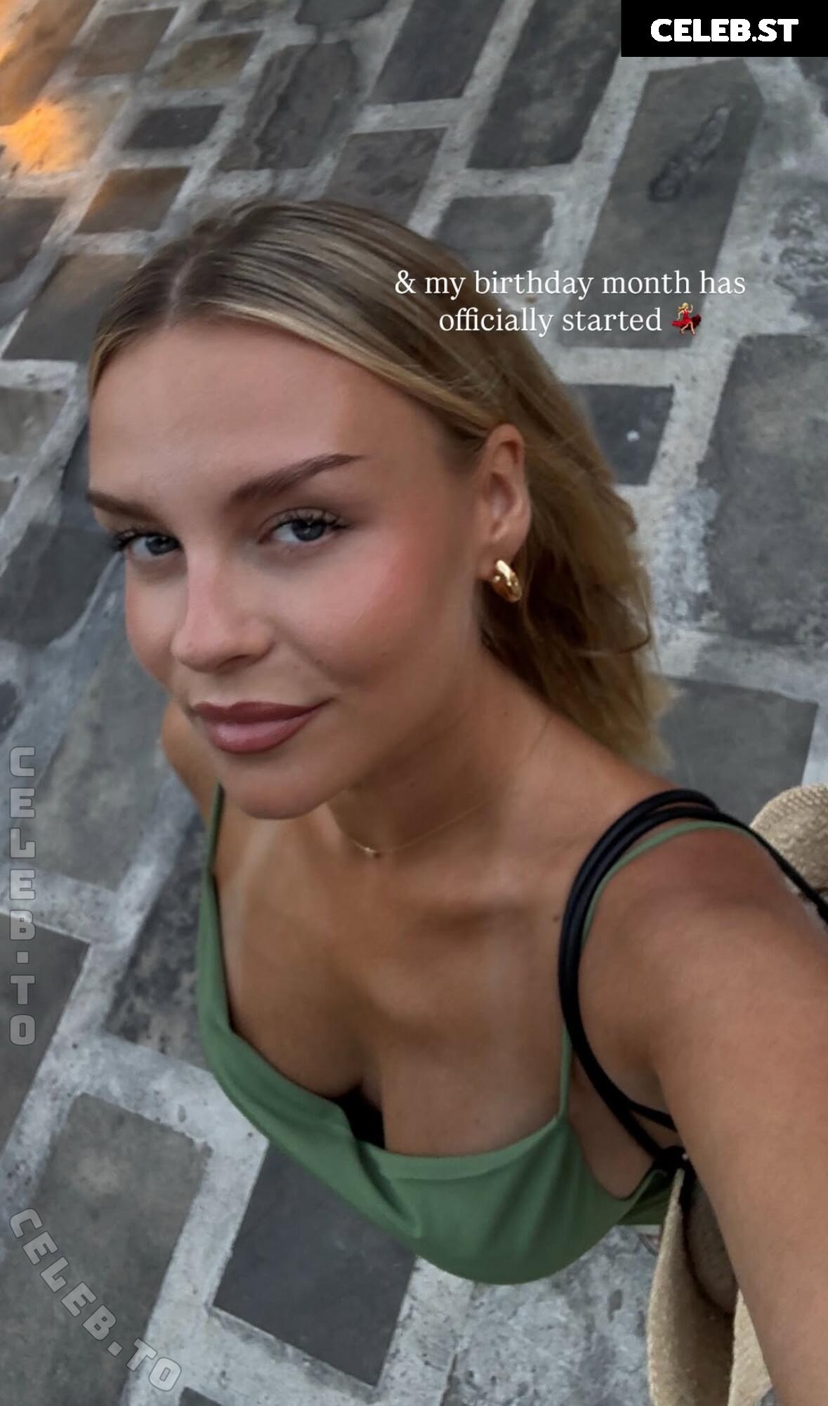 Dagi Bee Image 26252588