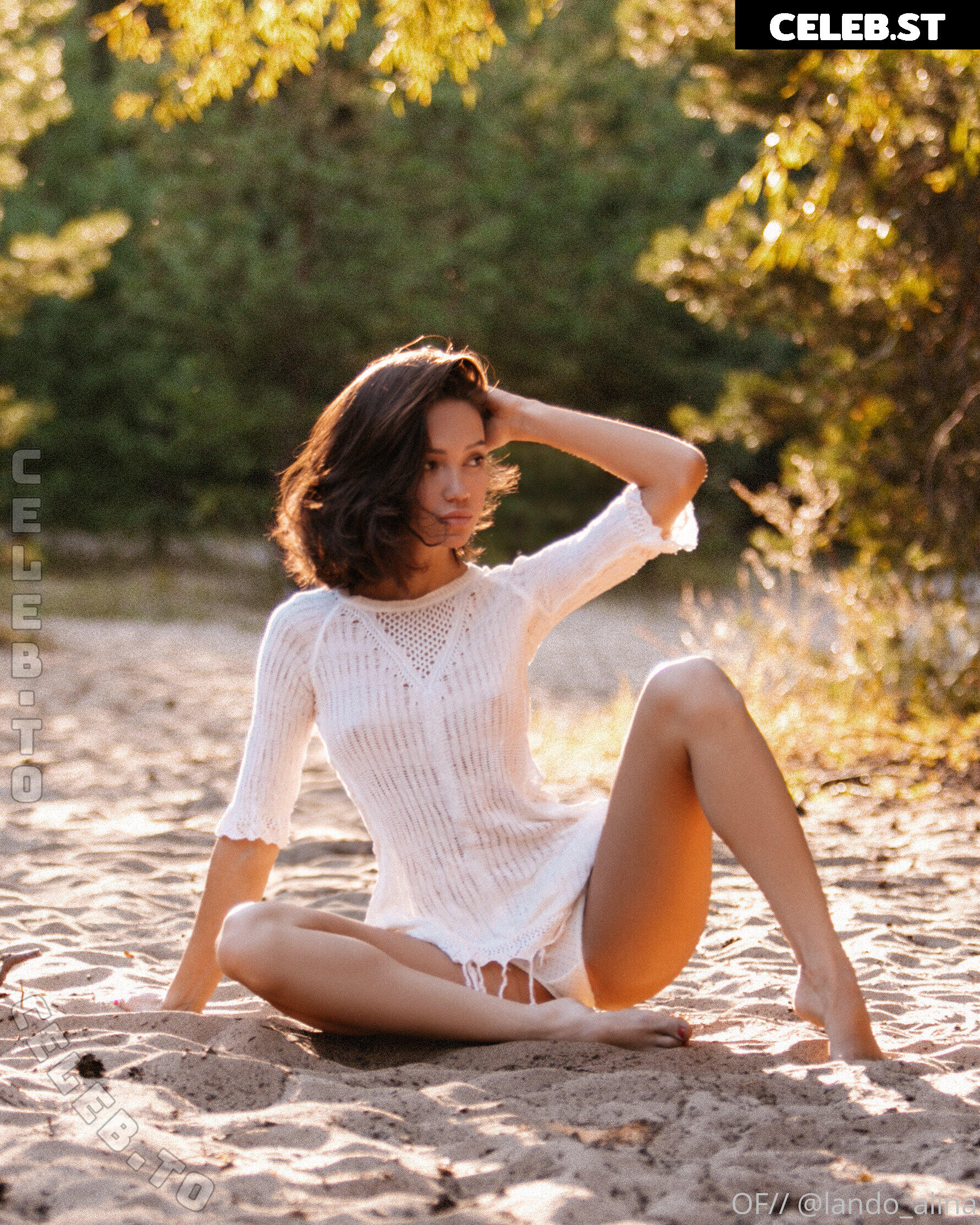 Alina Lando Image 26276525
