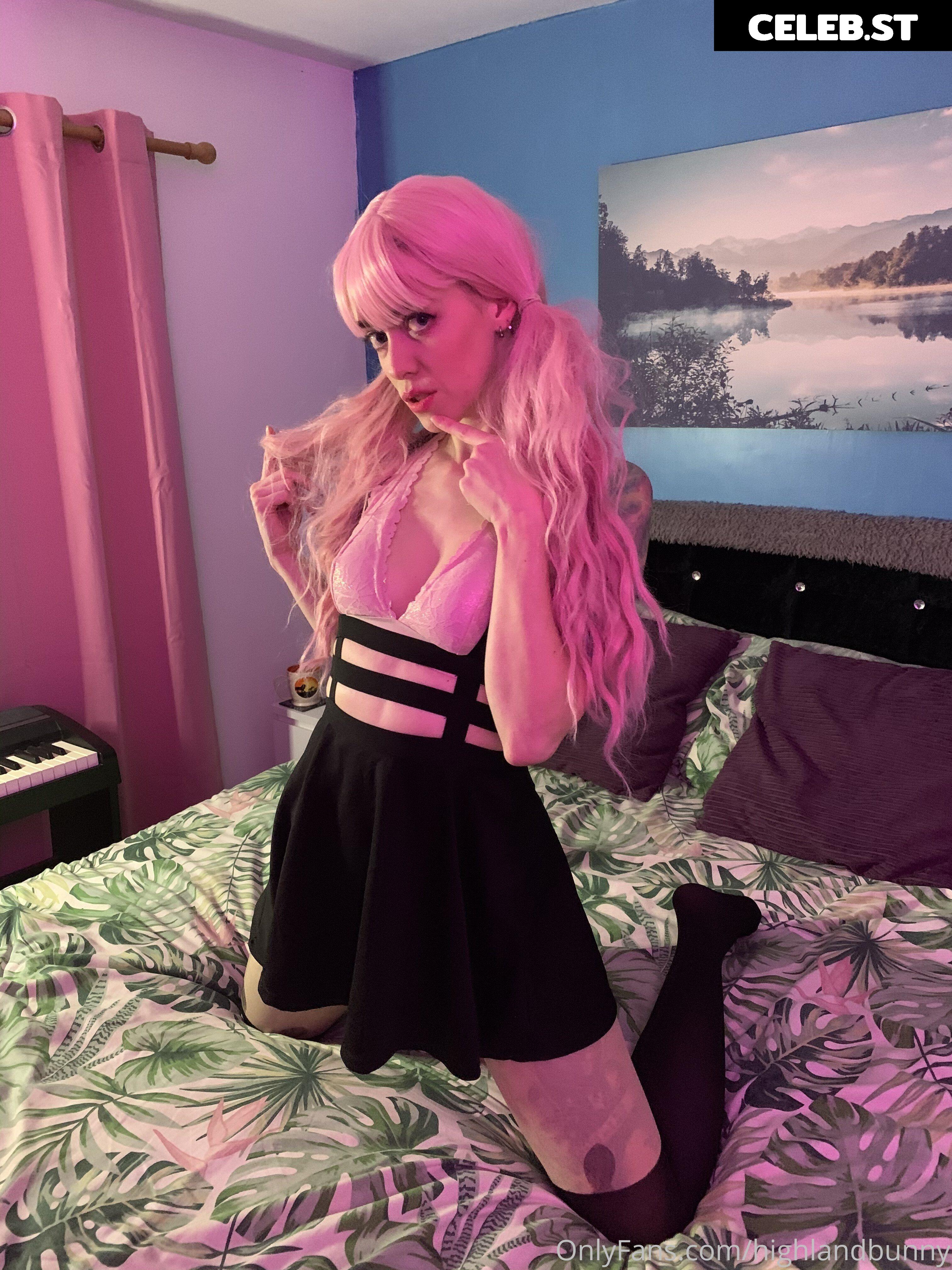 Highlandbunny Image 26272145