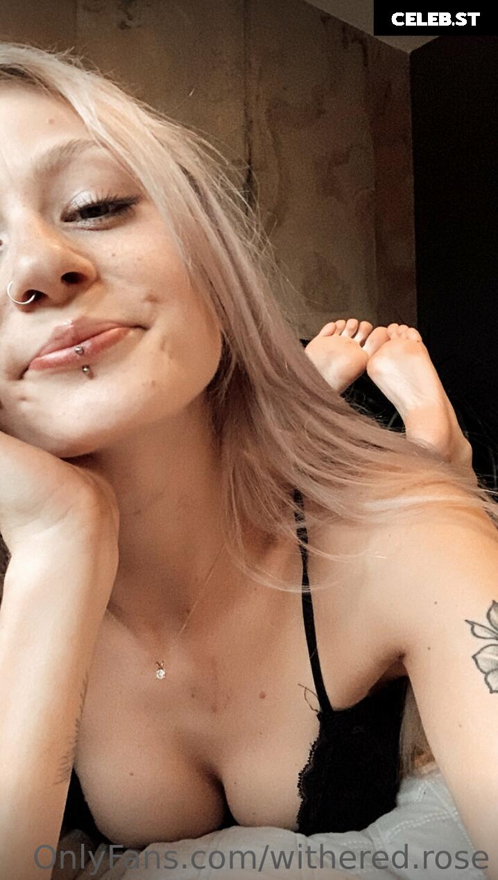 withered.rose Image 2615532