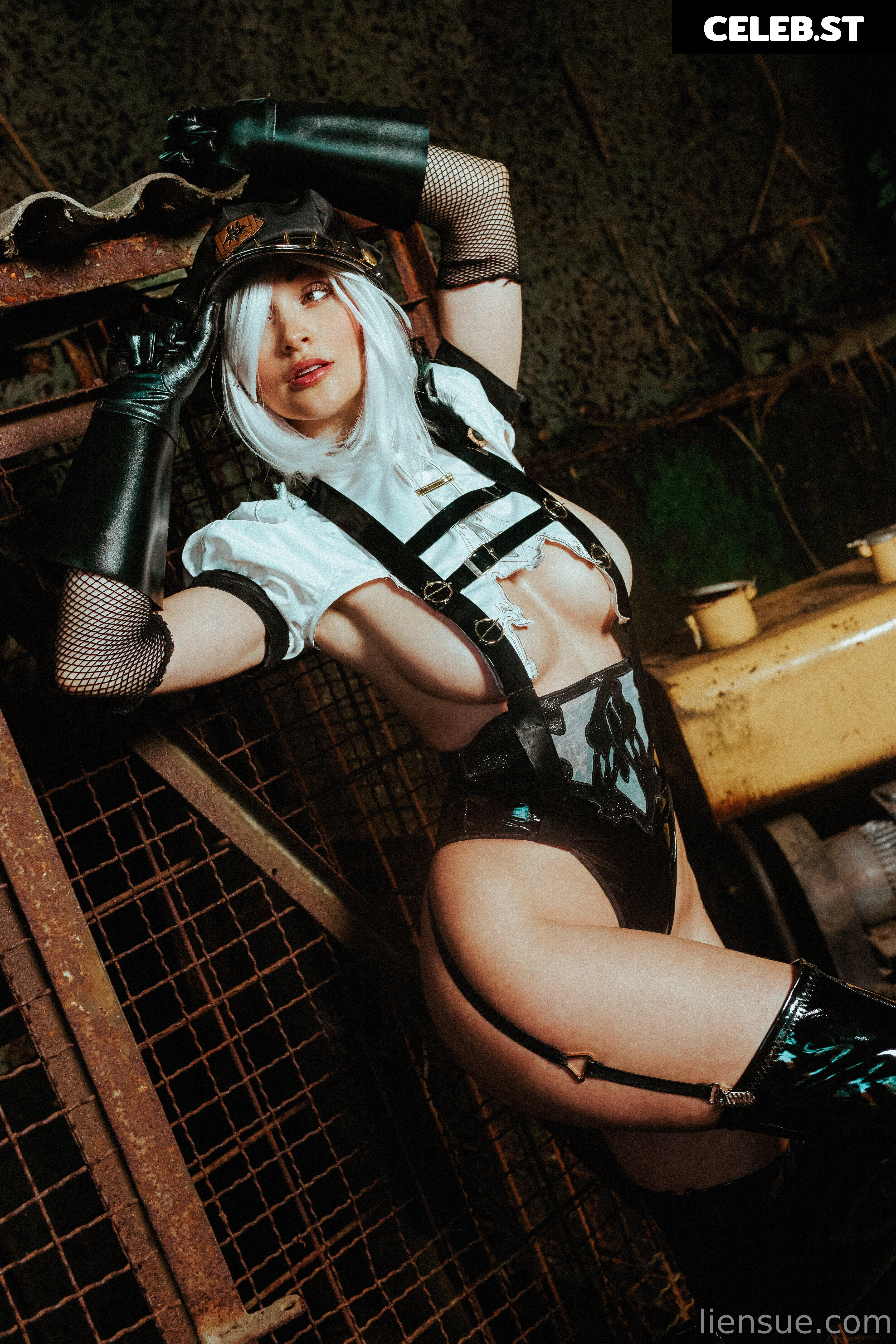 Liensue Image 2614760