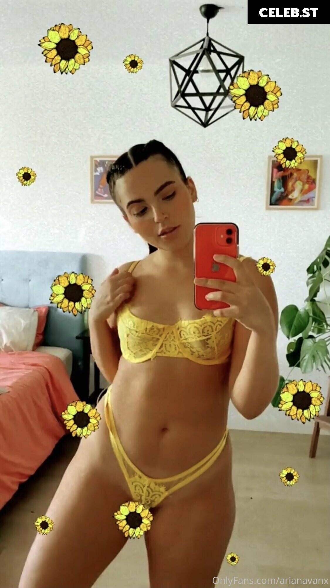 Arianavanx Image 2614621