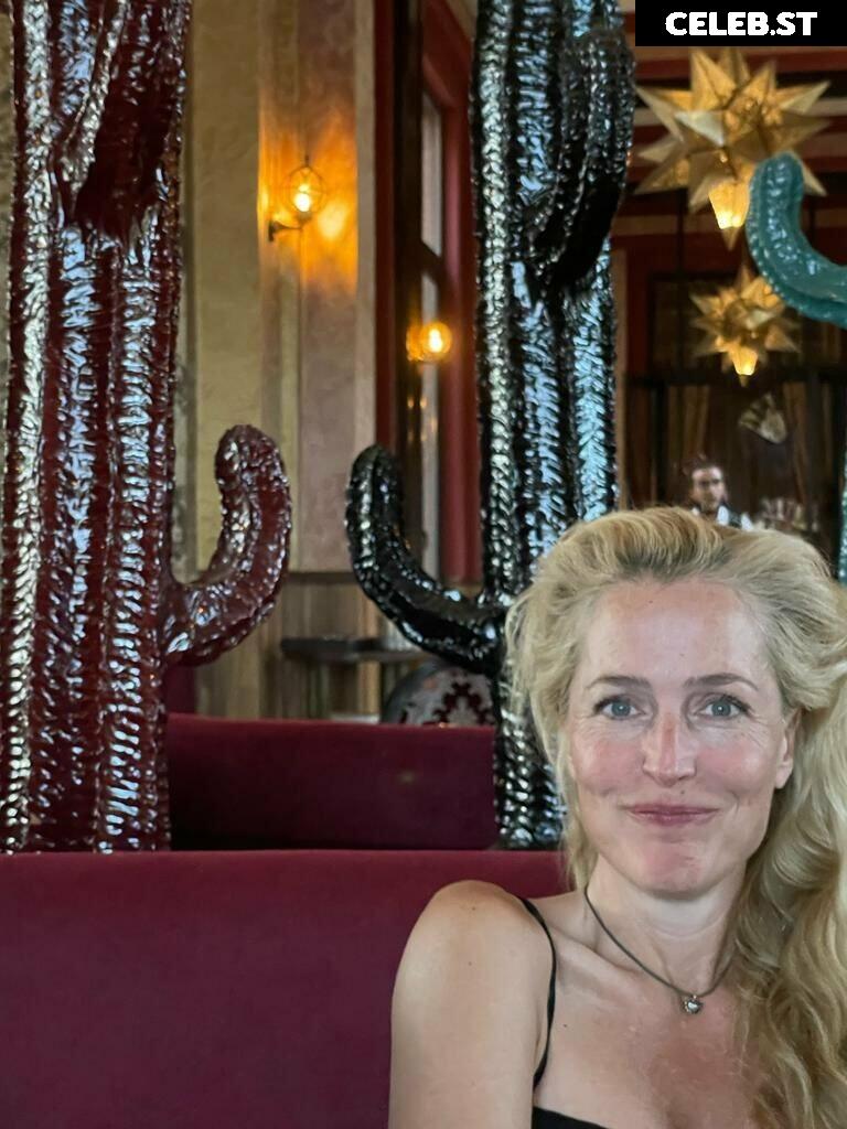 Gillian Anderson Image 26116710