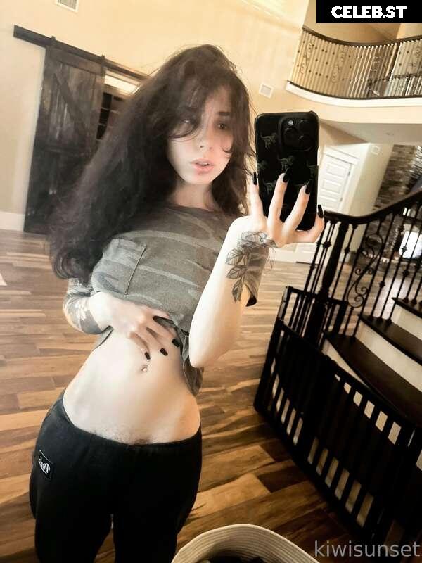 Kiwisunset Image 2797465