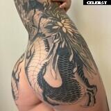 Bronkfox Image 2792472