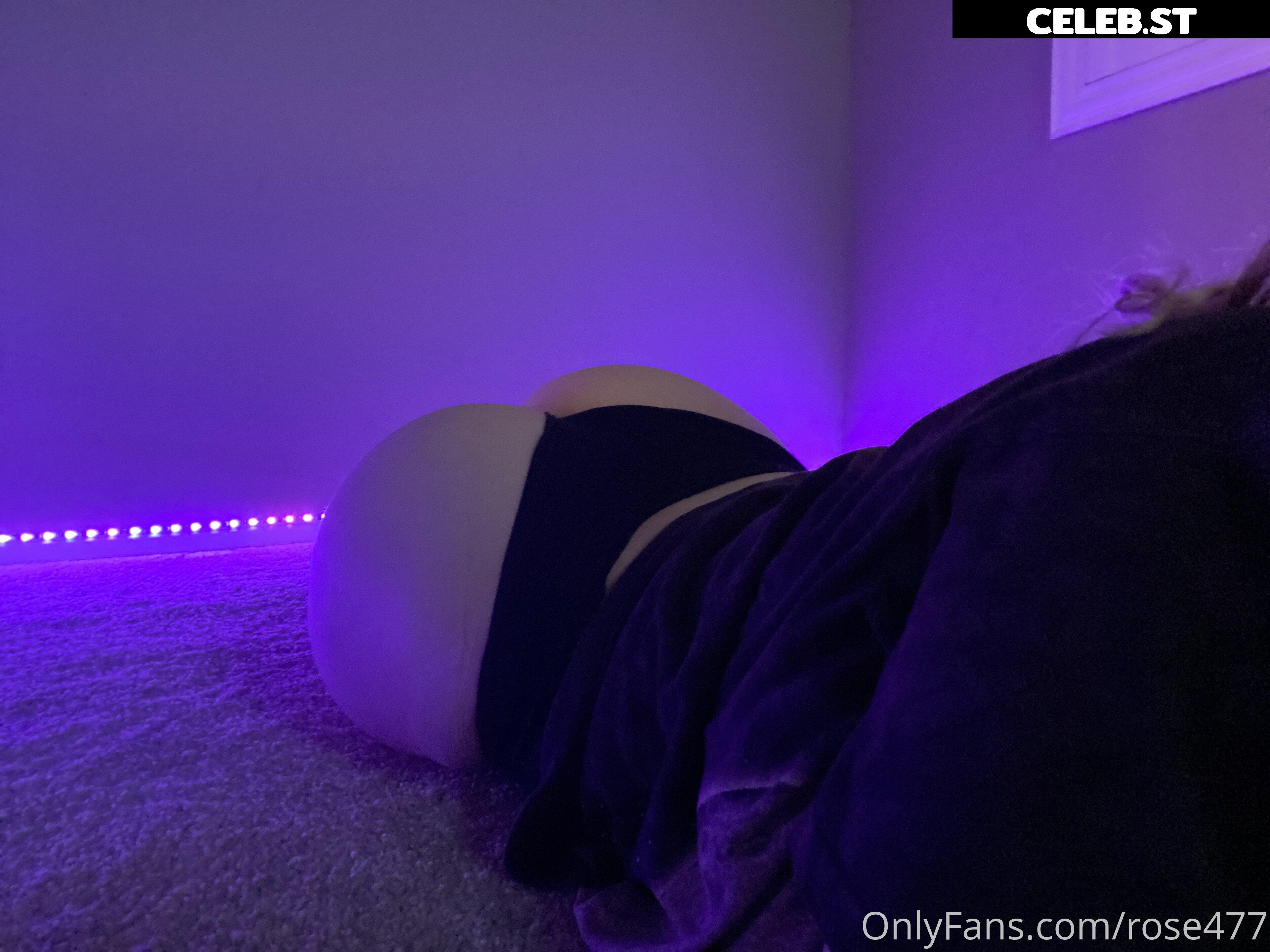 Rose ASMR Image 2793061