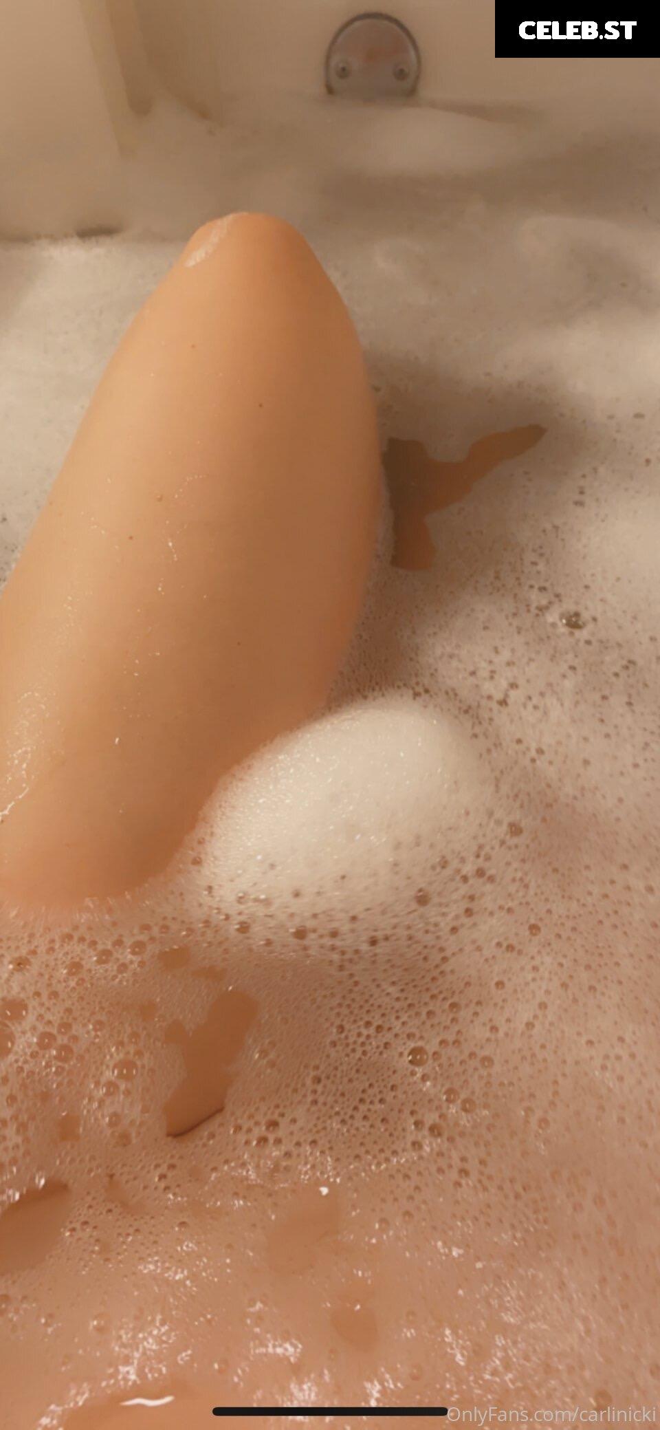 Carlinicki Image 2785613