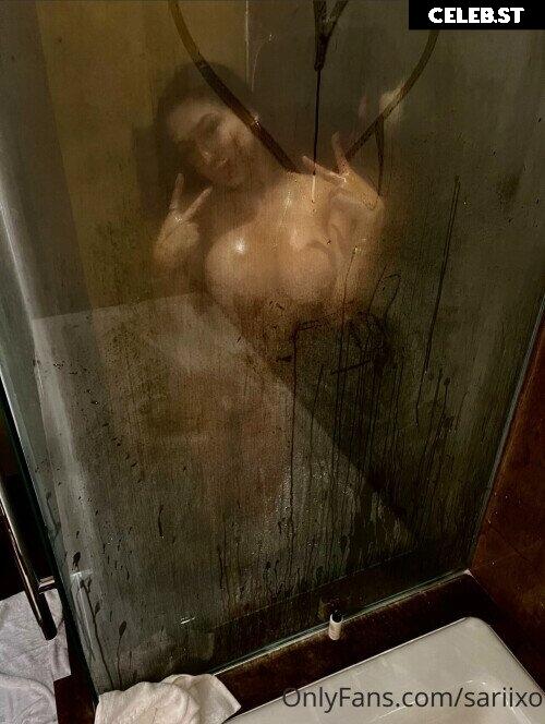 Sariixo Image 2786232