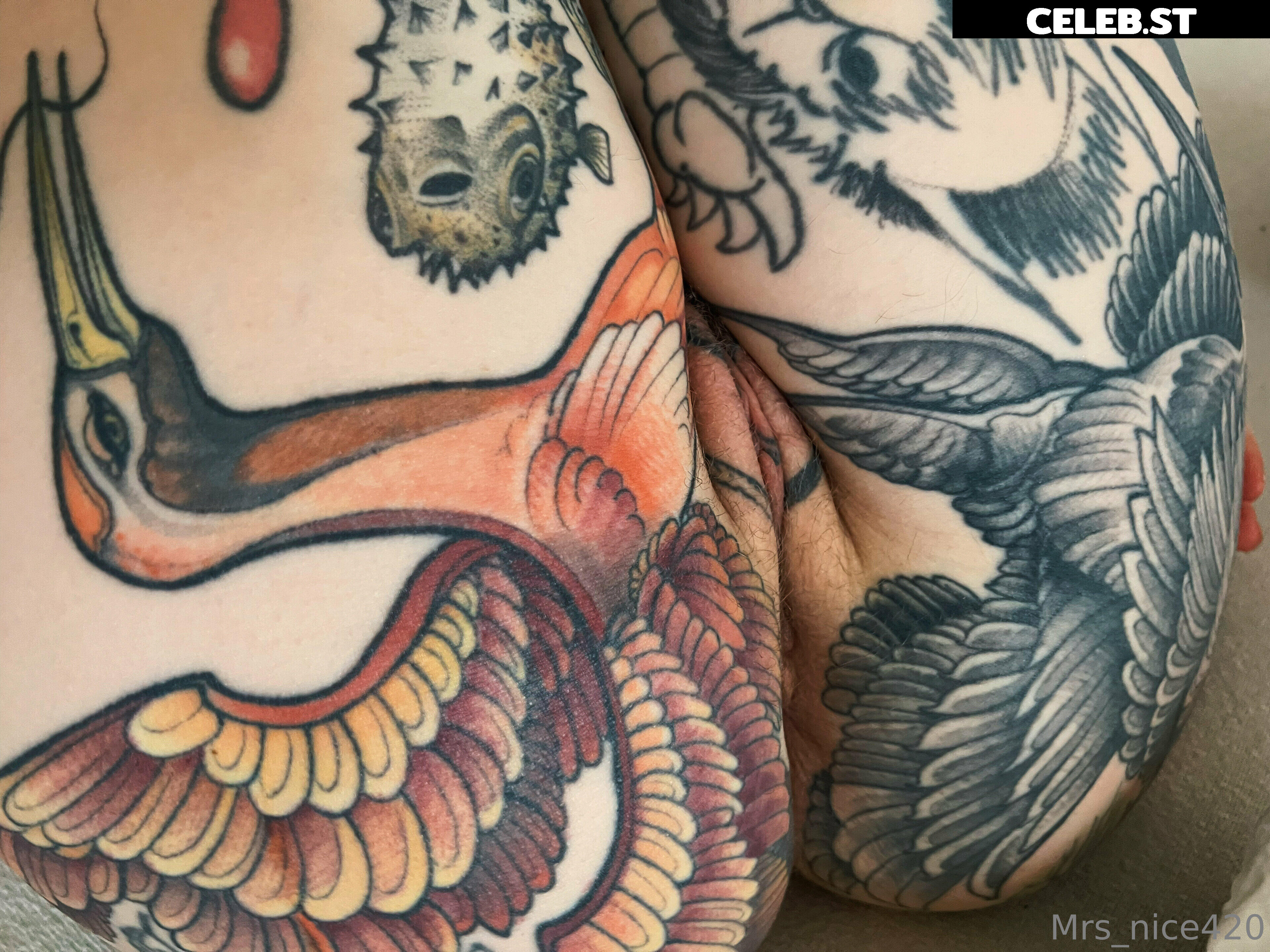 mrs_nice Image 2783542