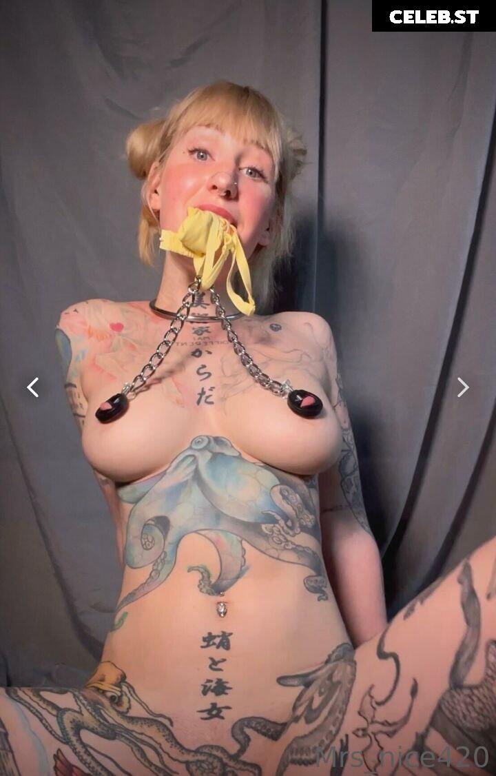 mrs_nice Image 2783275