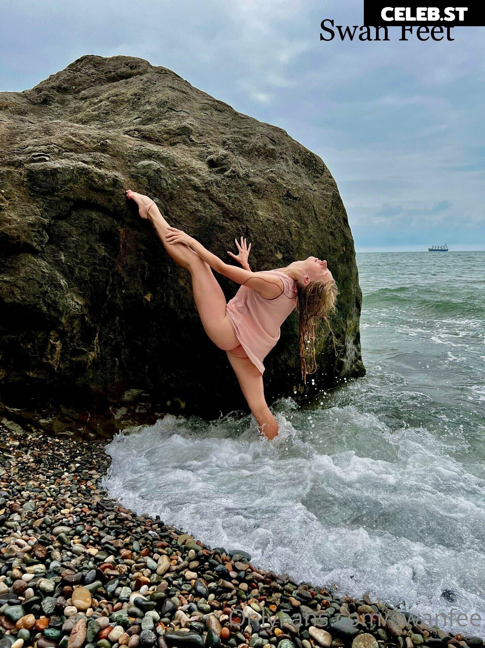 Swanfeet Image 278892