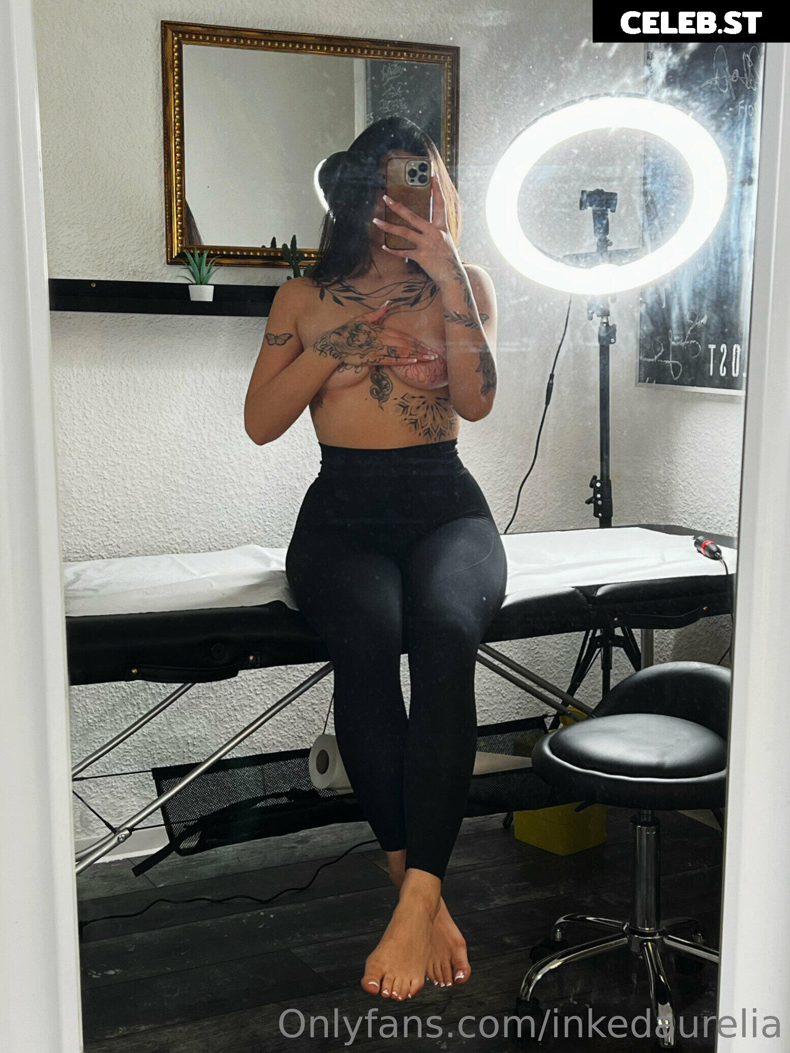 Inkedaurelia Image 2775546