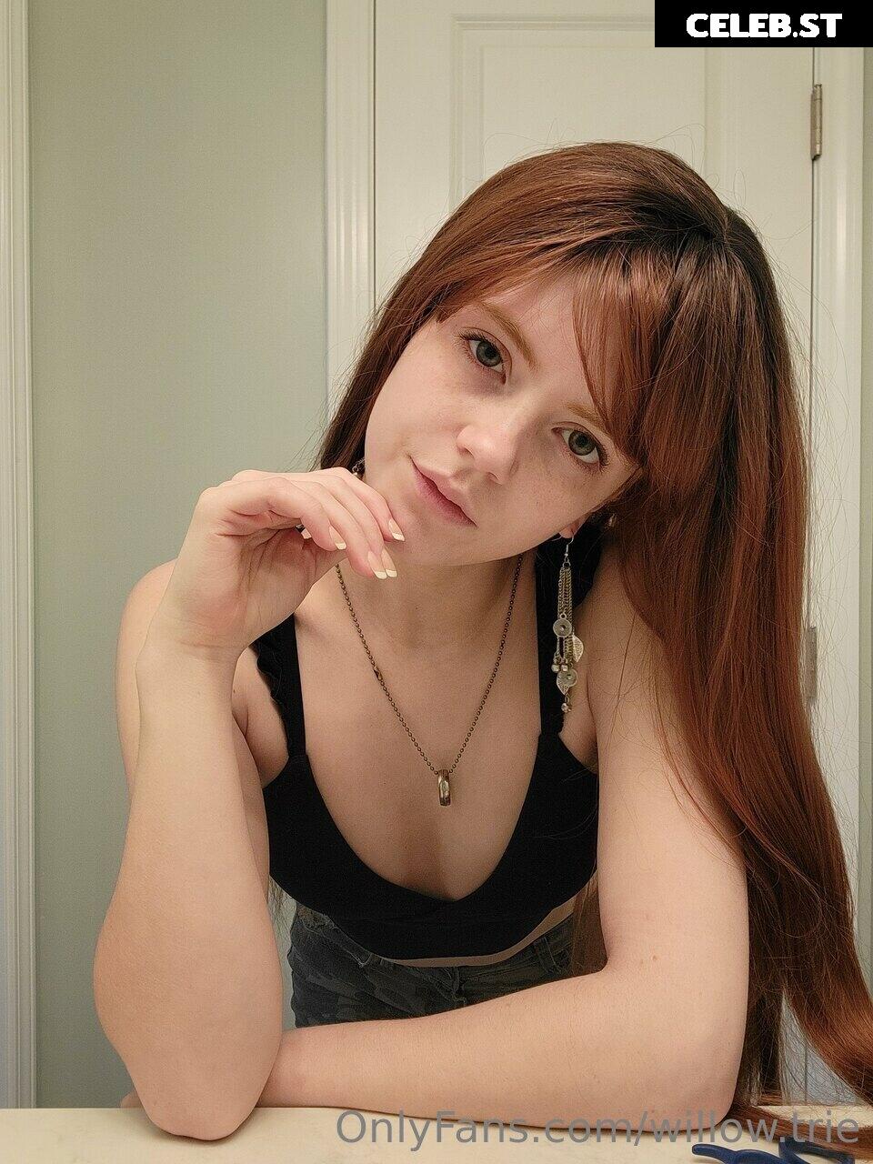 Willow Trie Image 2776543