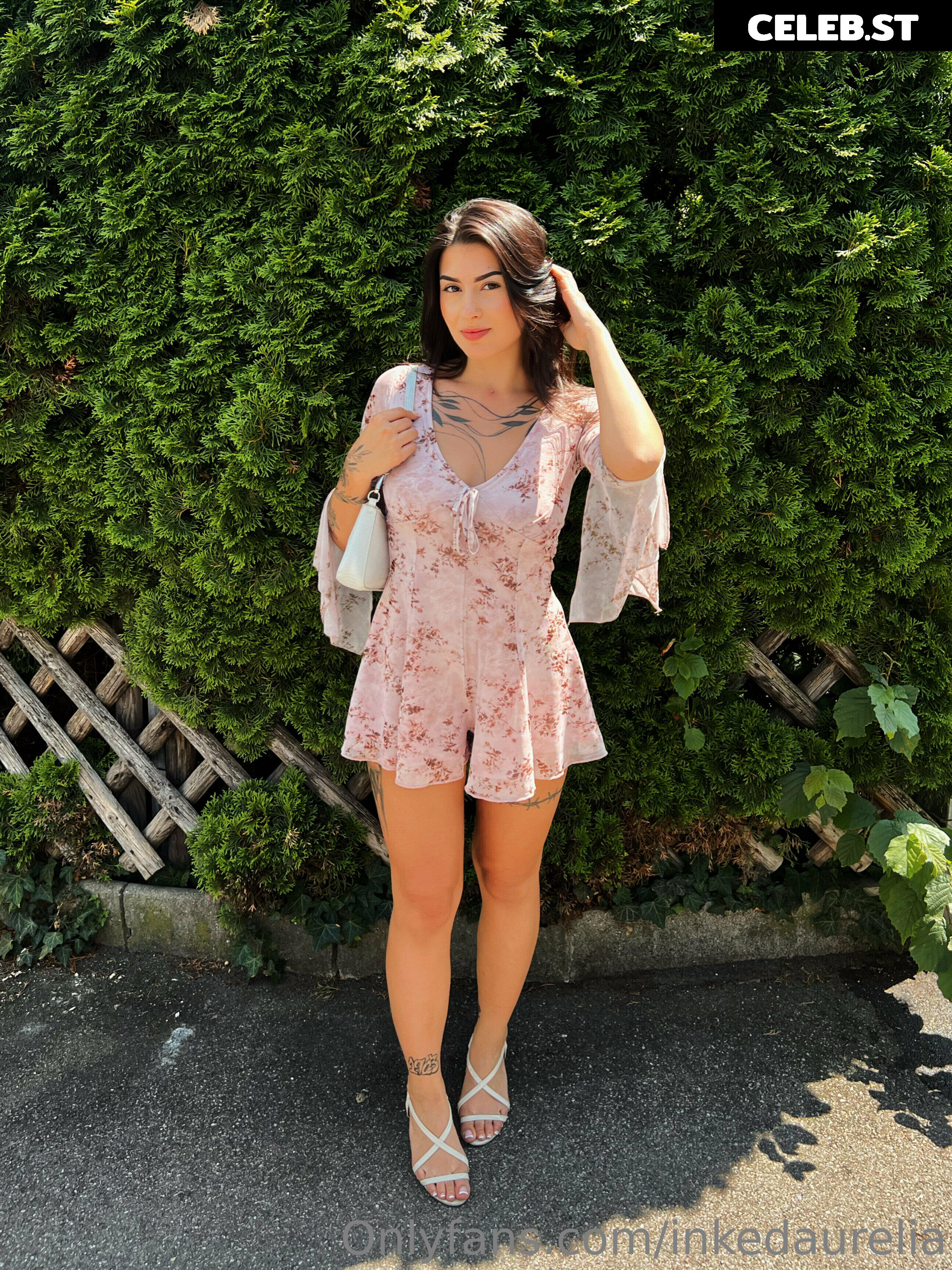 Inkedaurelia Image 2774424