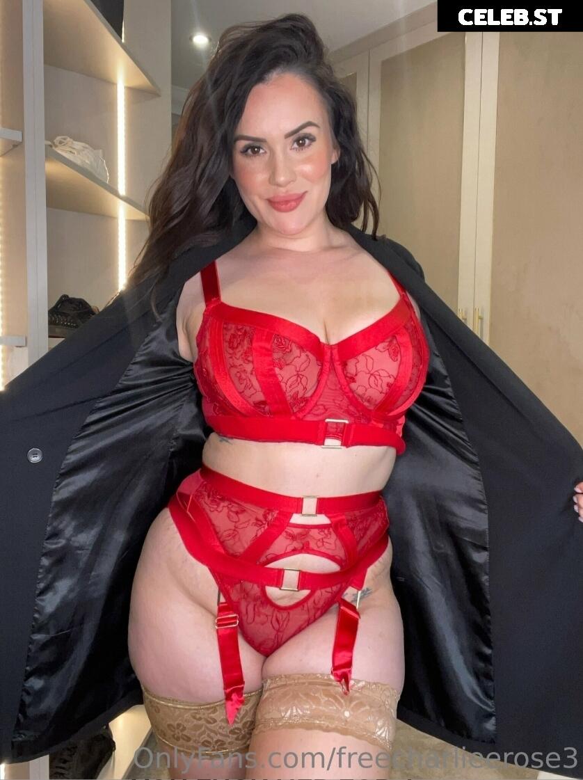 Charlie Rose Image 2772660