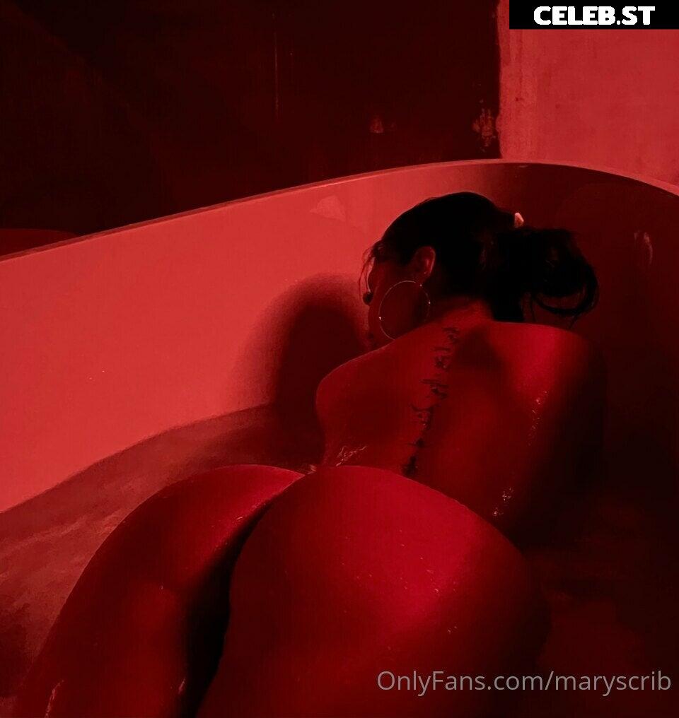 Maryscrib Image 2766404