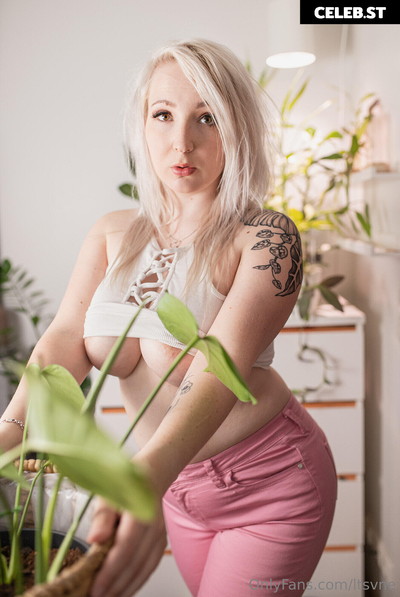 LTSVNE / luotsivene Image 276600