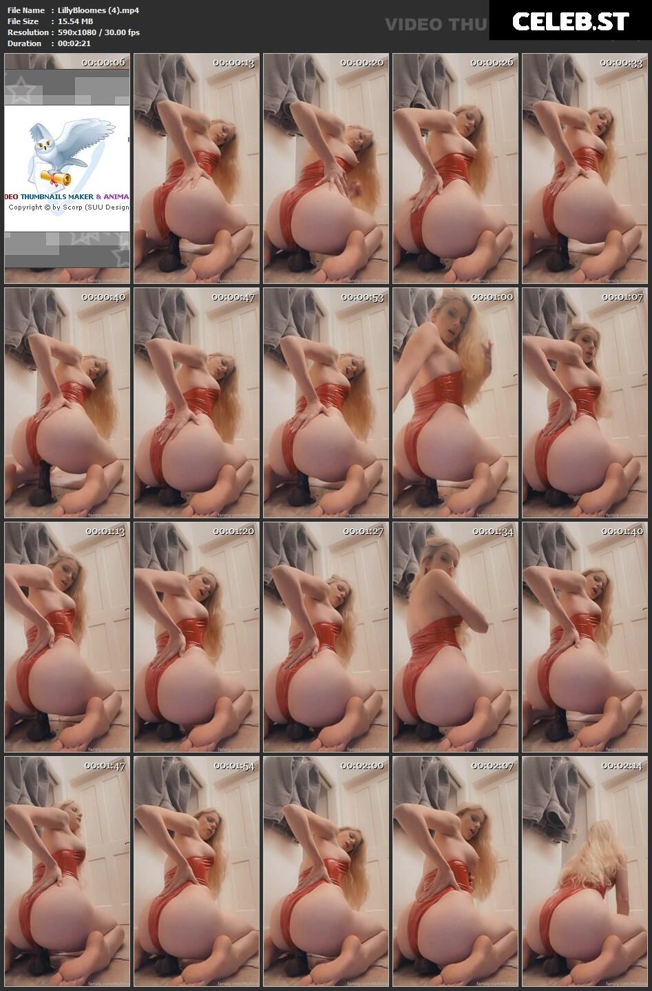 Lilly Bloomes Image 2767951