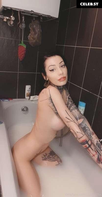 Serjenfox Image 2761234