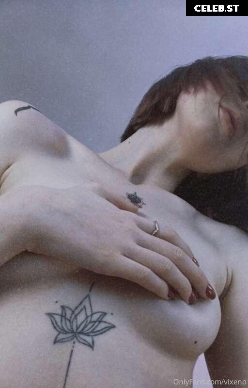 Vixenp Image 2762799