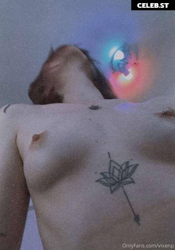 Vixenp Image 2762770