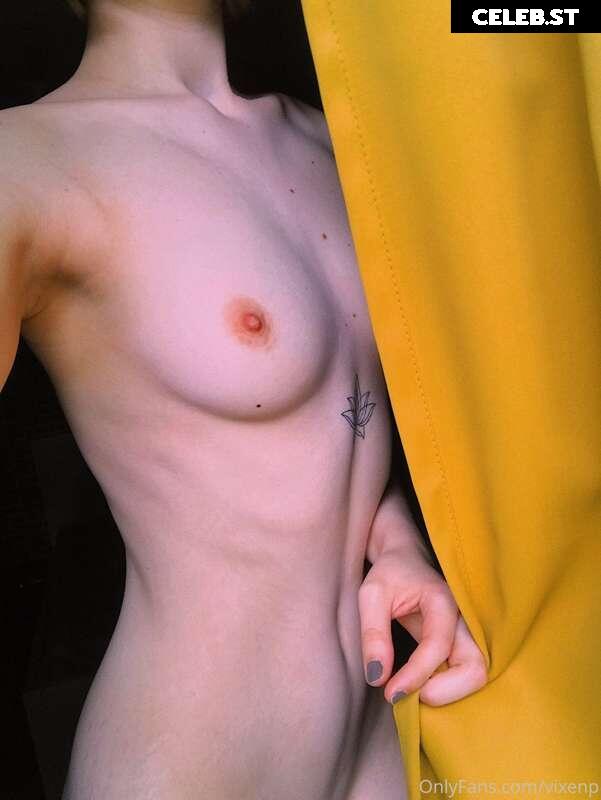 Vixenp Image 2762654