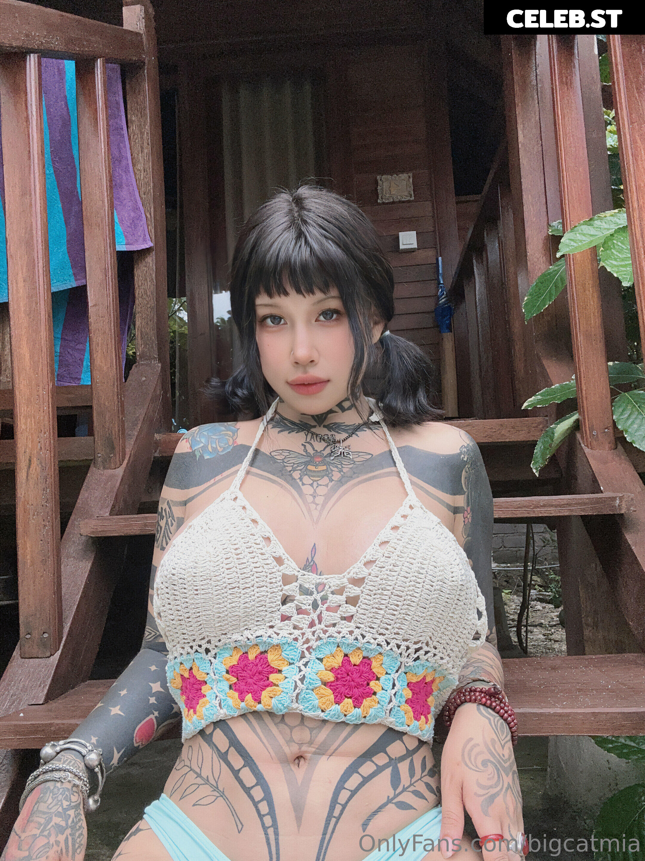 bigcatmia Image 2763352