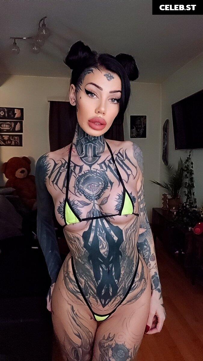 Serjenfox Image 2760870